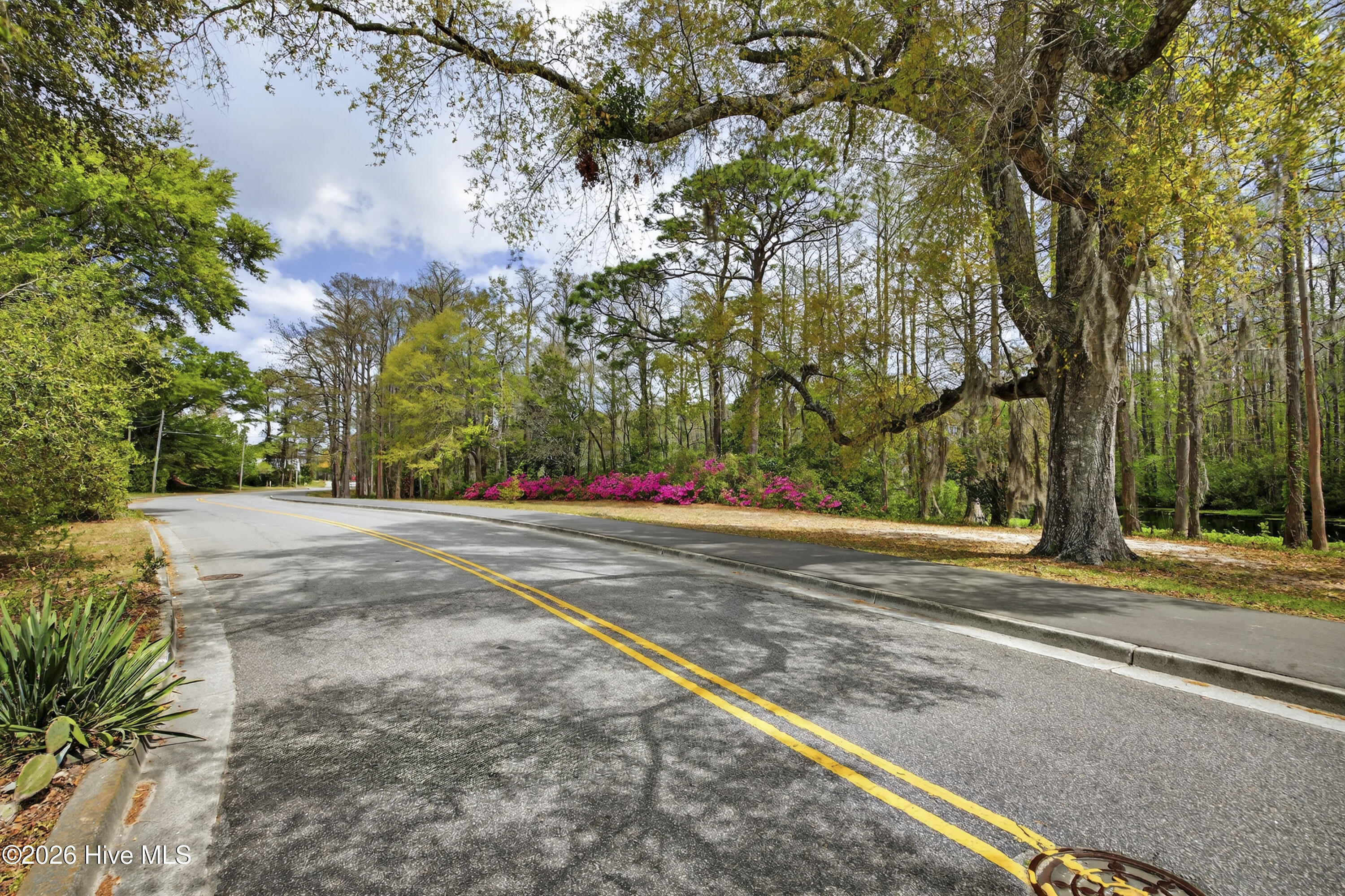 100564526 | Photo 50