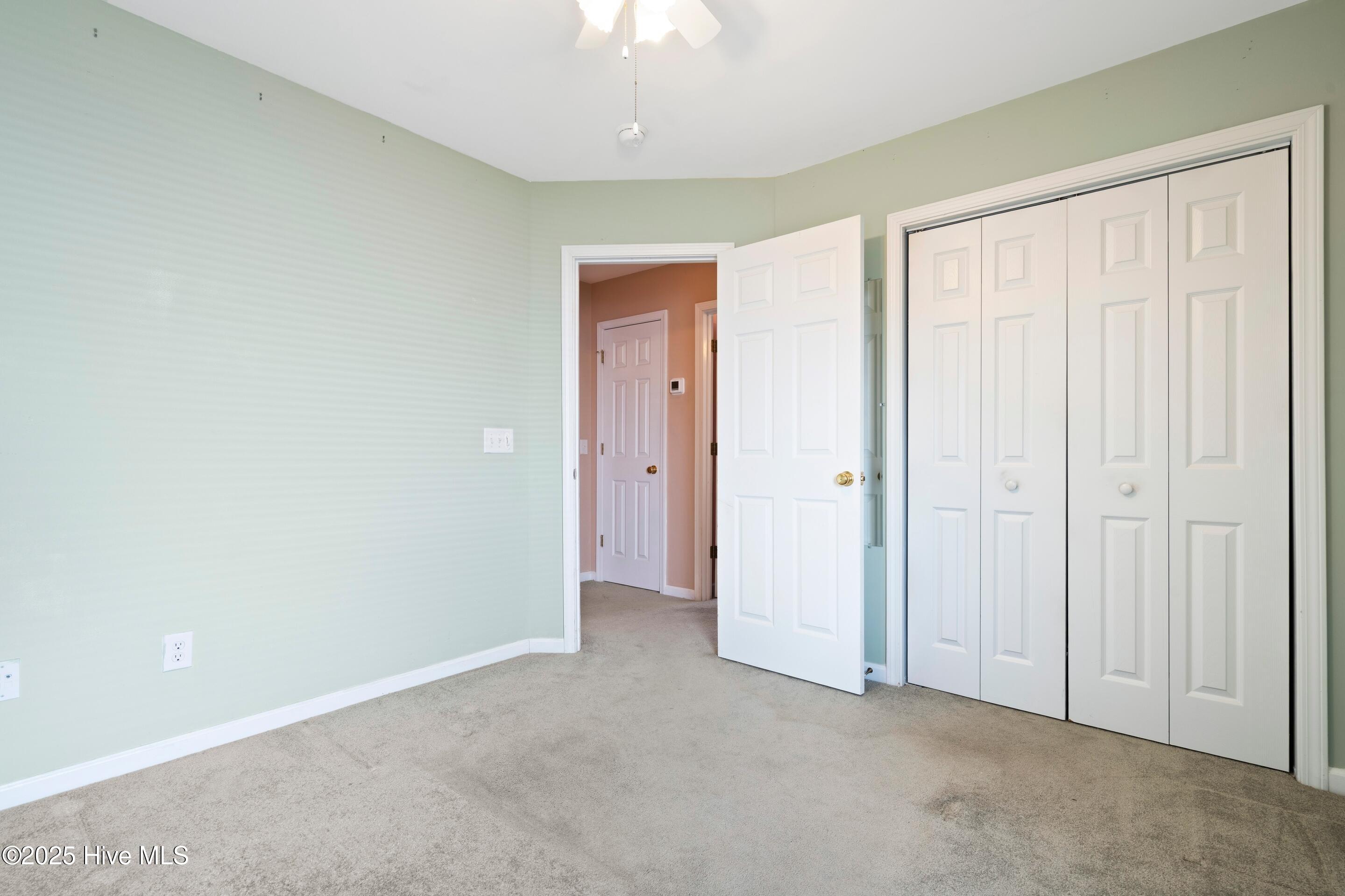 100509496 | Photo 18