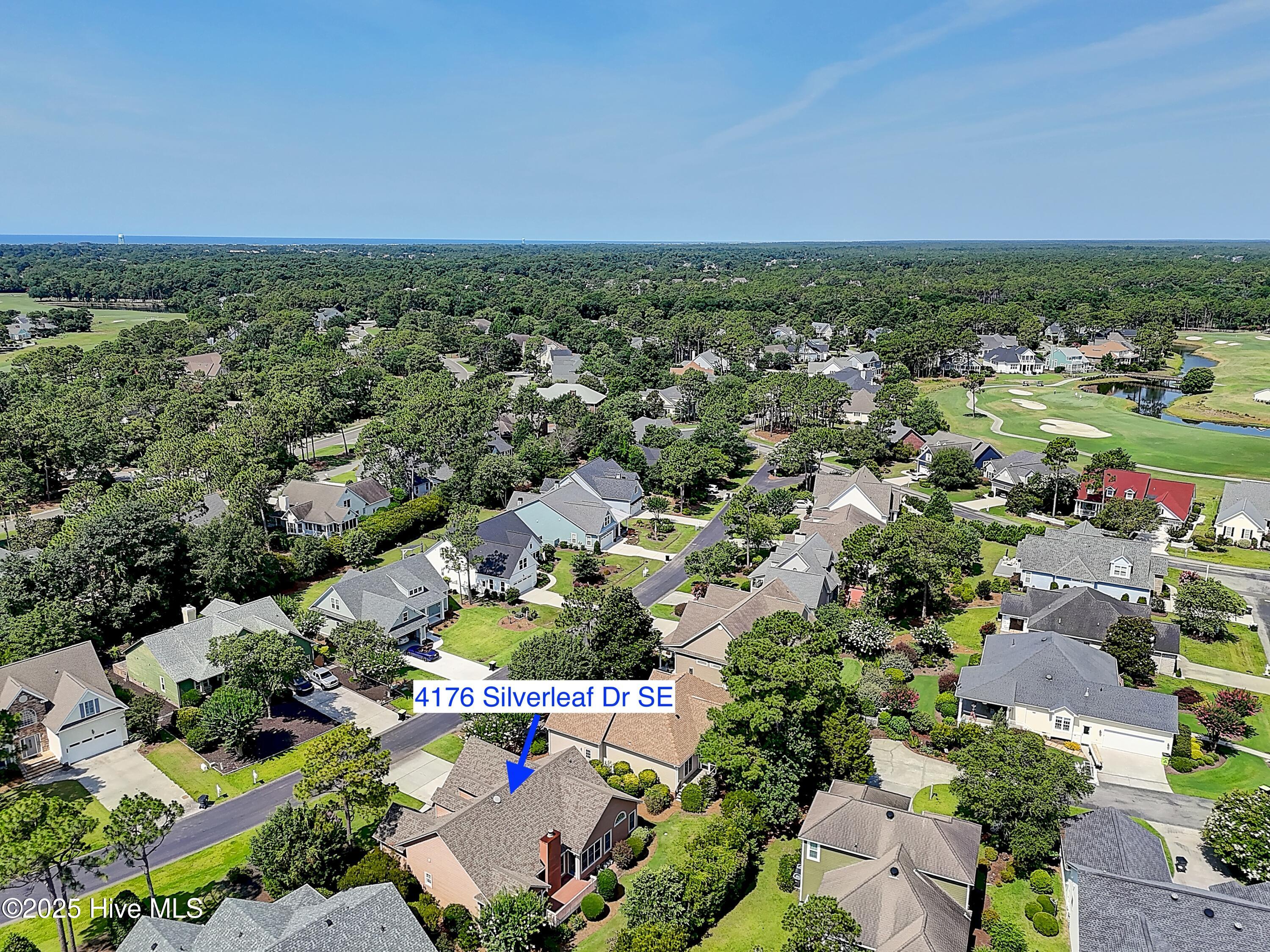 100535708 | Photo 43