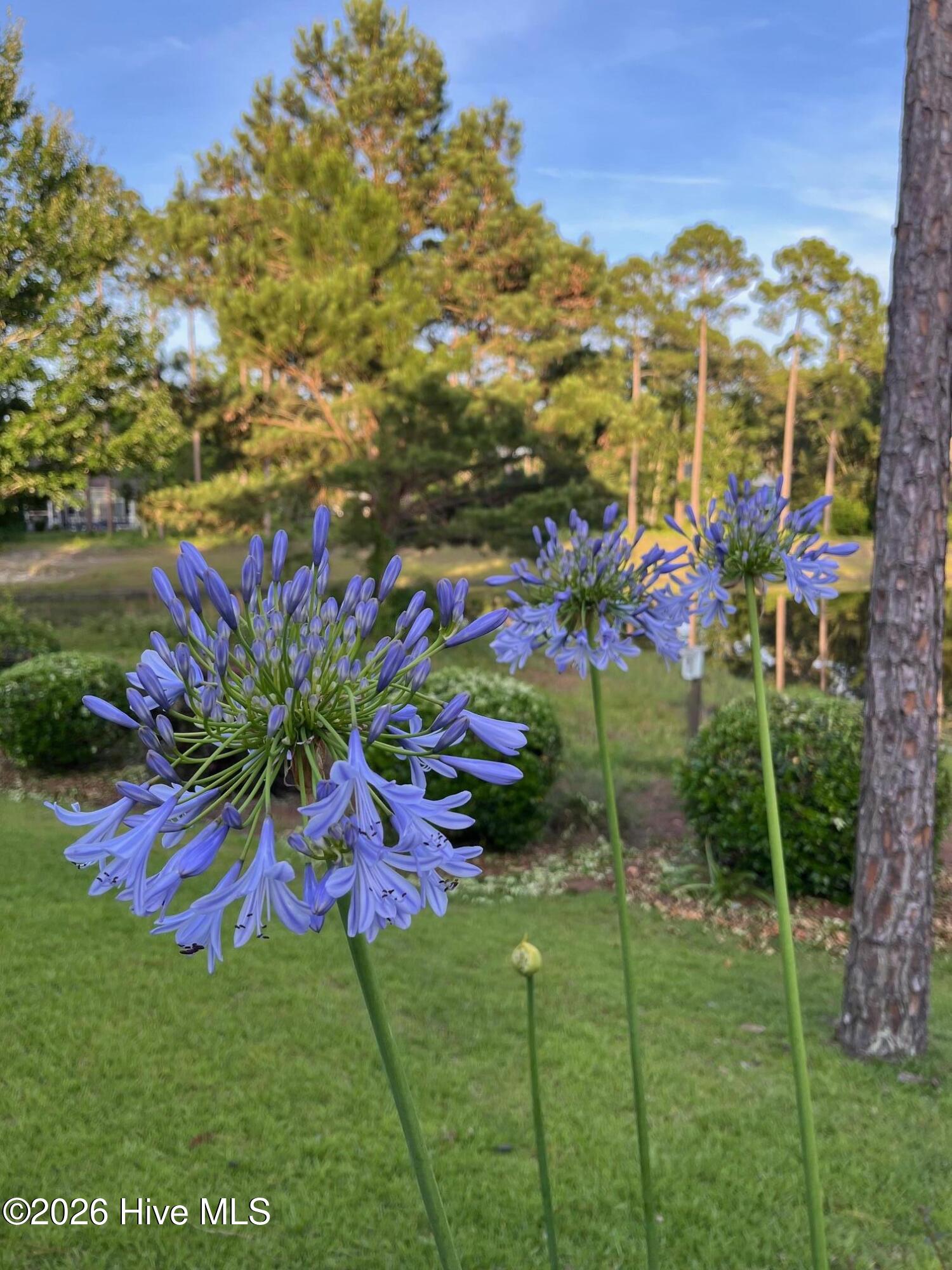 100555309 | Photo 39