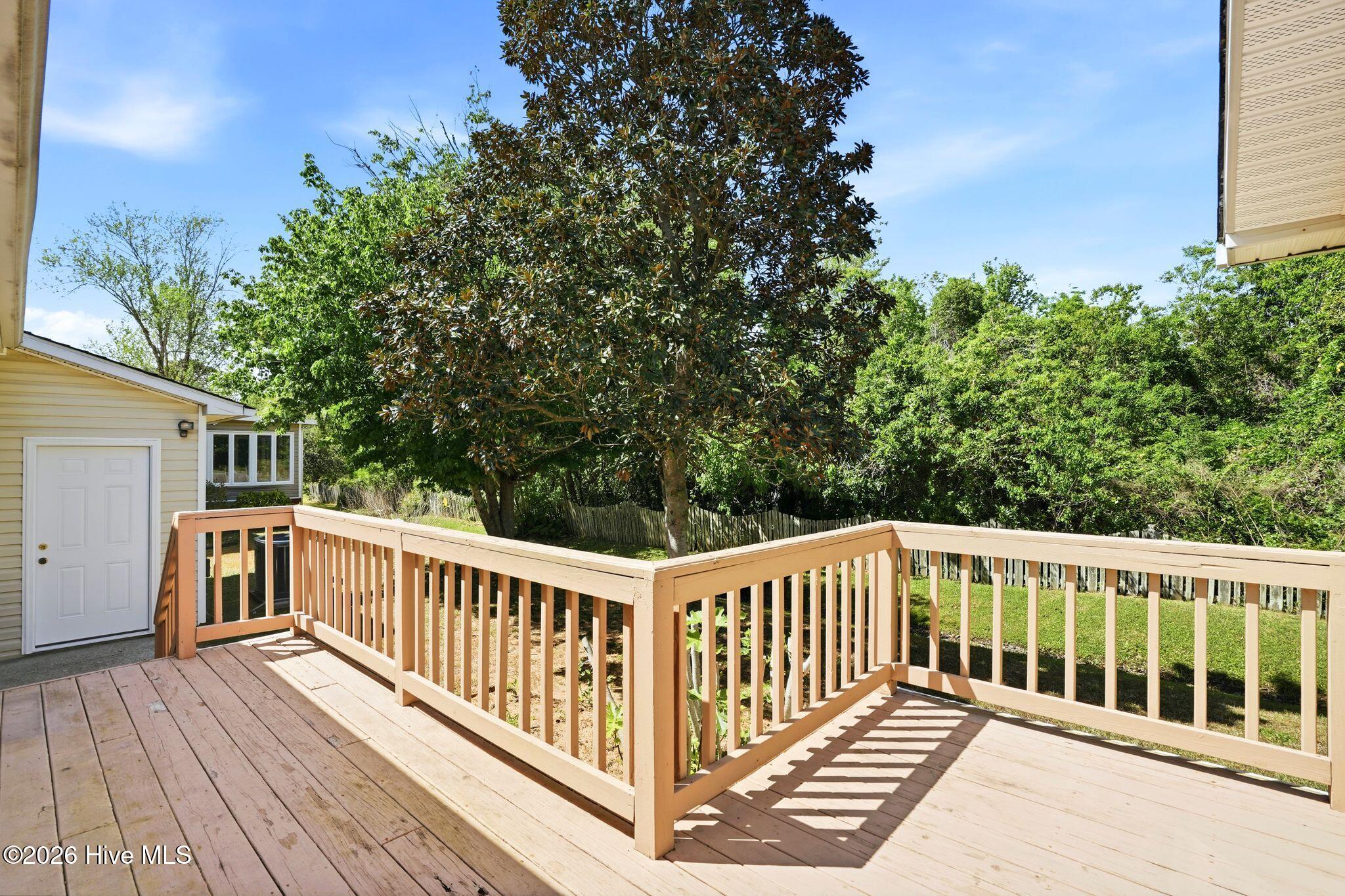 100567371 | Photo 53