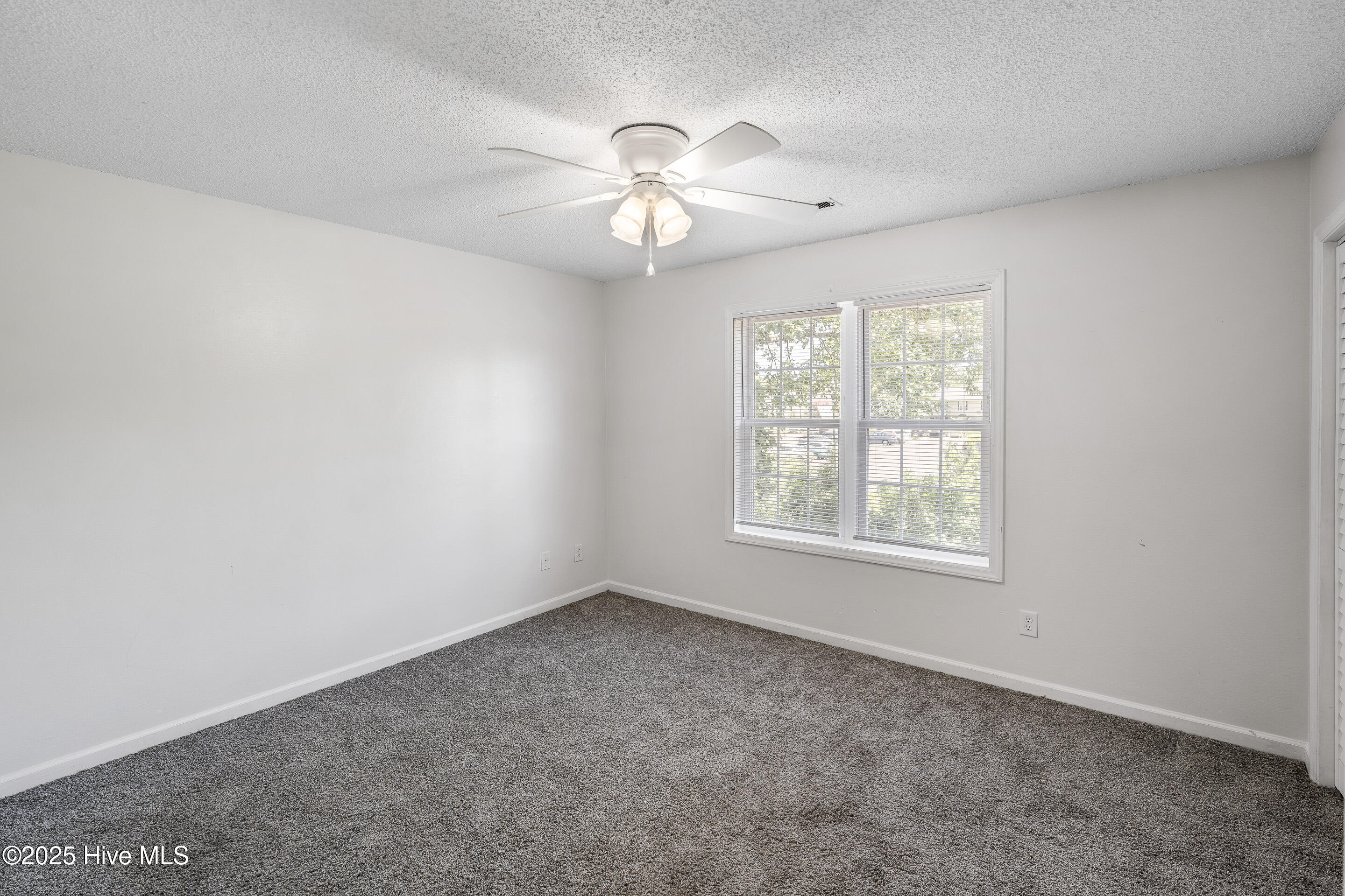 100521365 | Photo 16