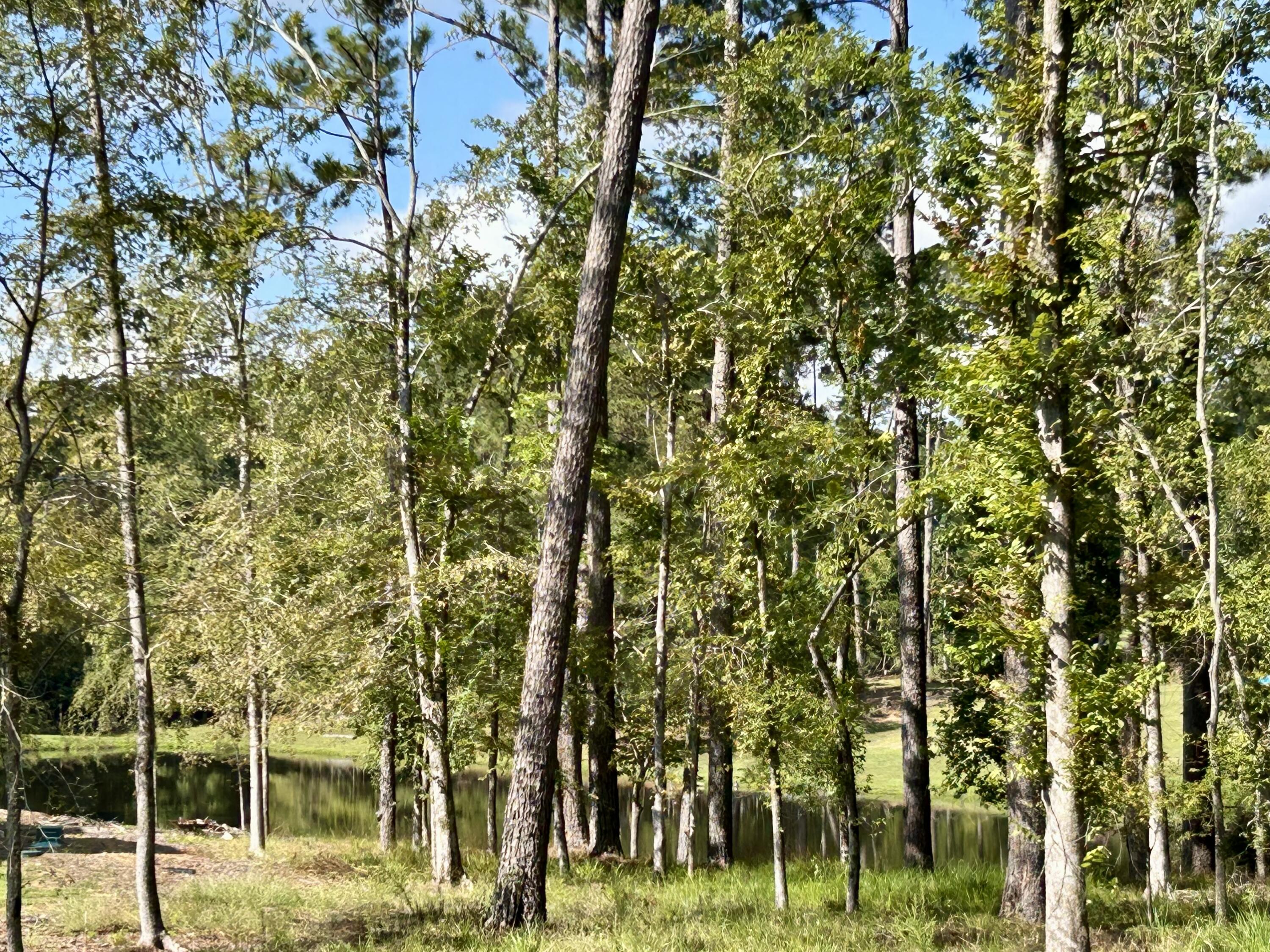 Homes for sale in Evans, GA | 385 Canterbury Dr, Evans, GA 30809 | MLS# 552608