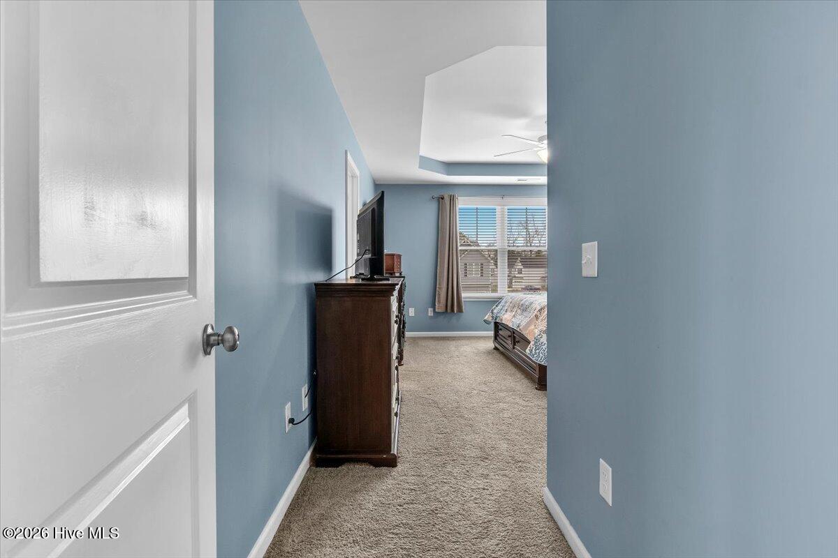 100558100 | Photo 38