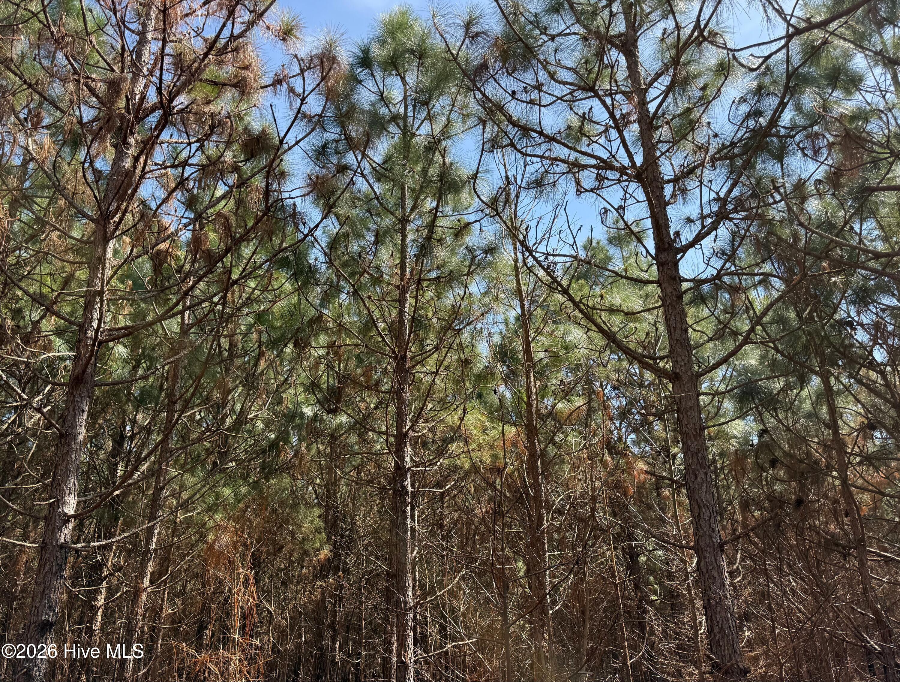 100560557 | Photo 30