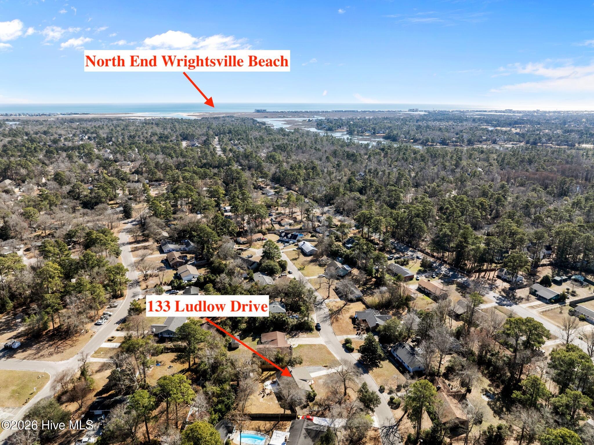 100552729 | Photo 46