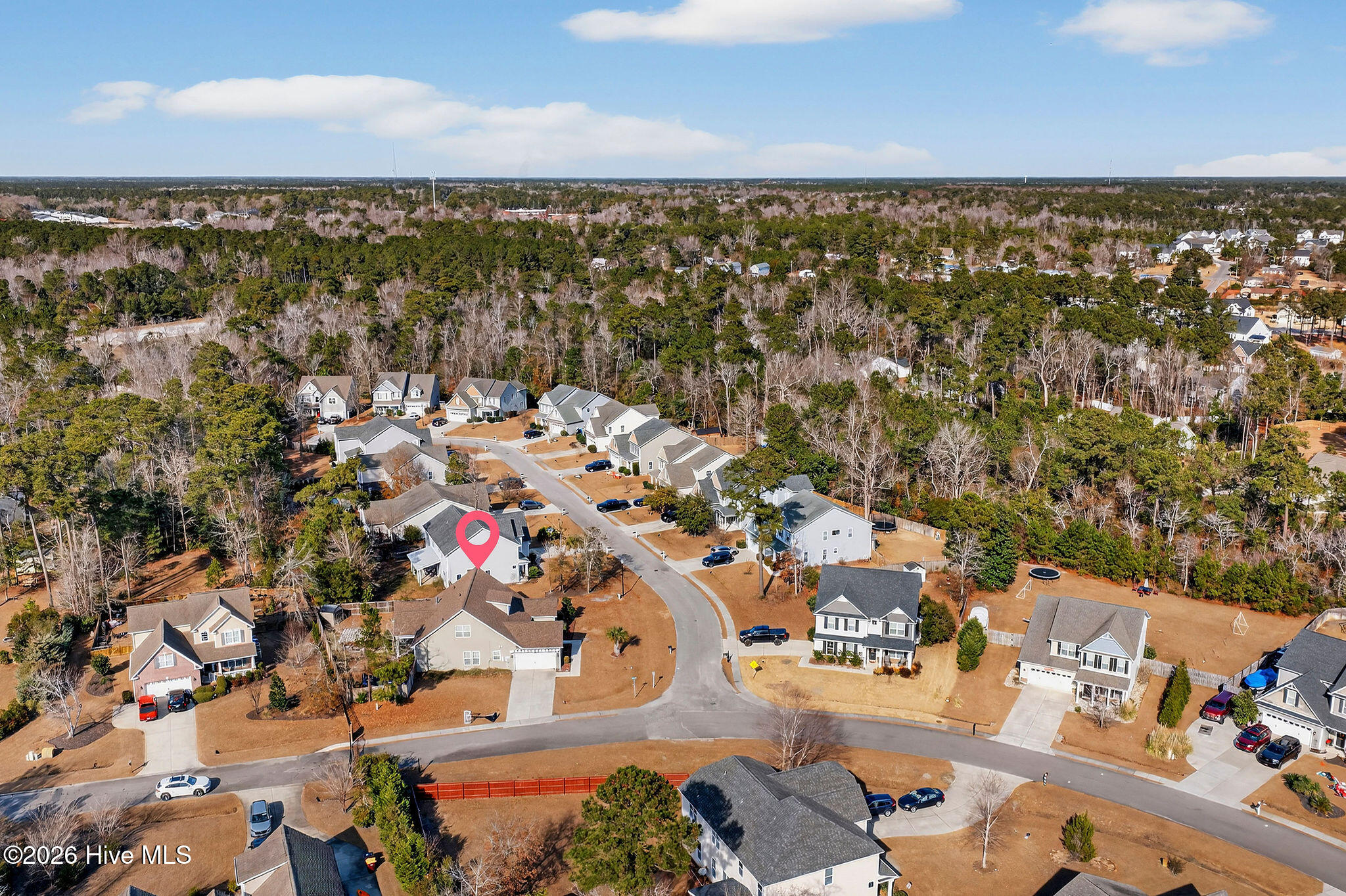 100547189 | Photo 59