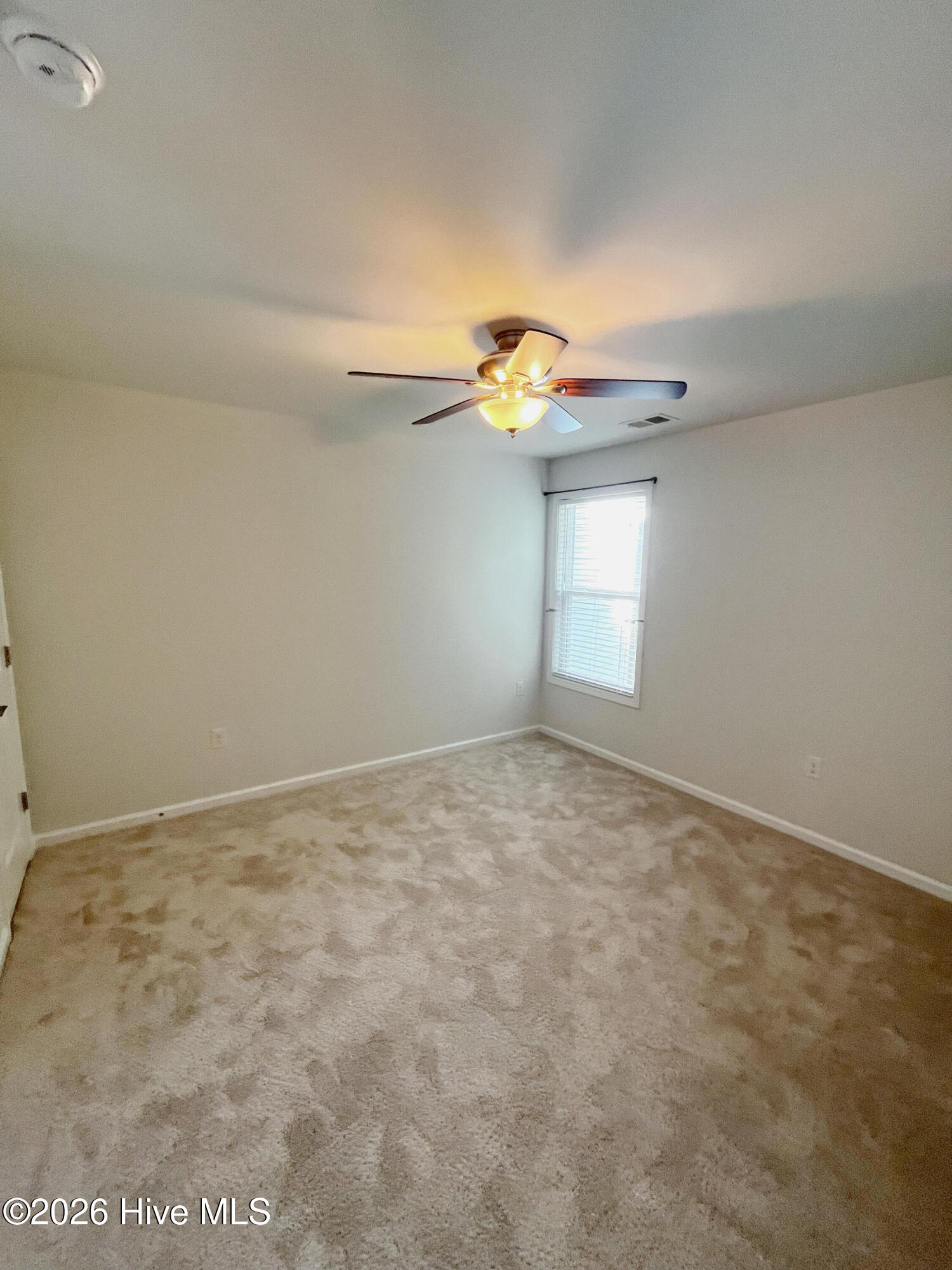 100564936 | Photo 18