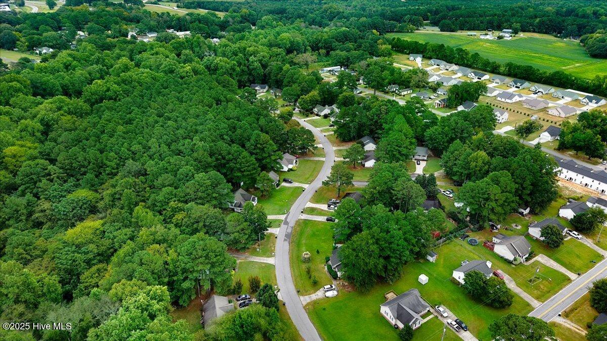 23-S Coral Bells Wy-23