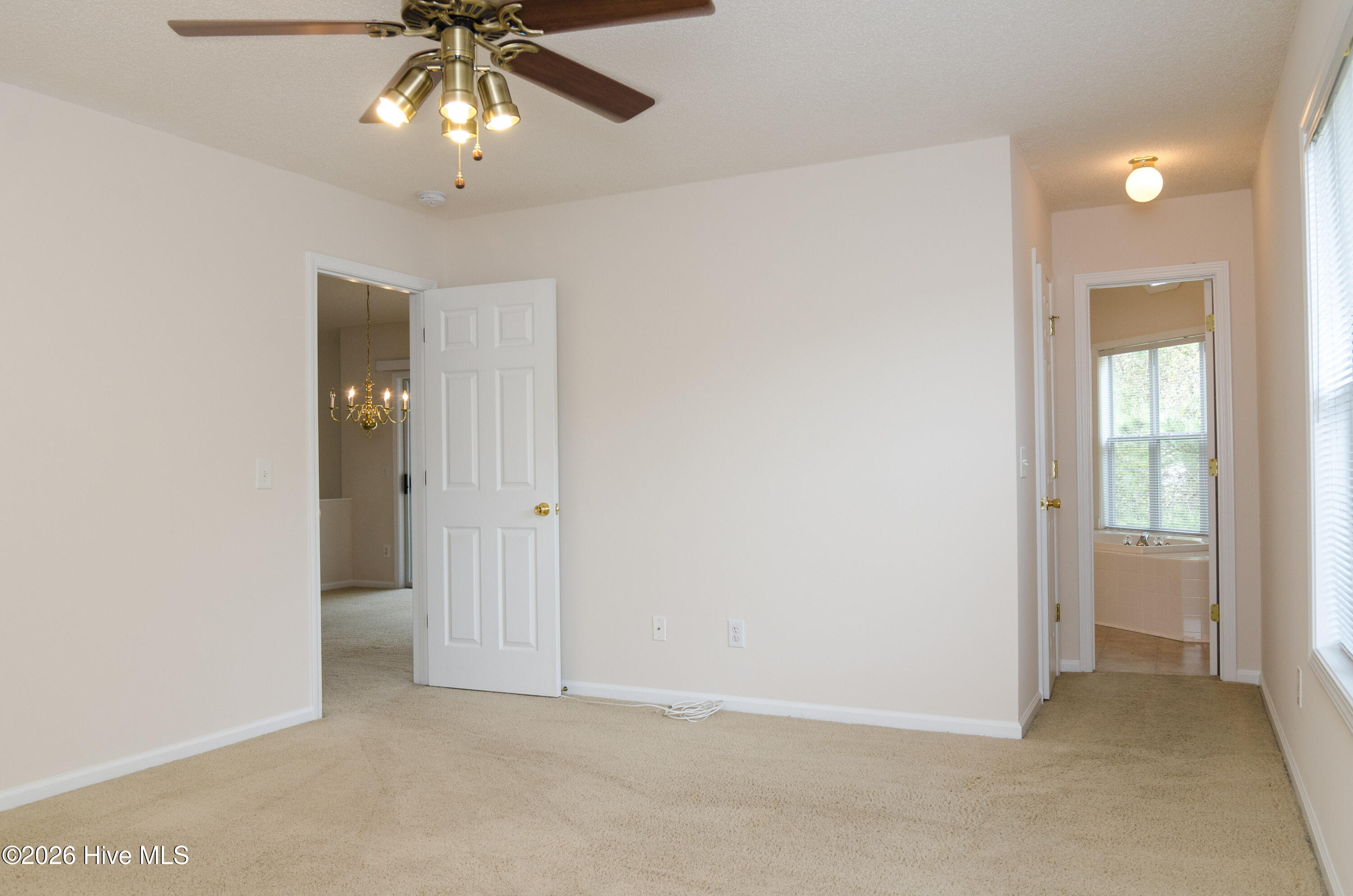 100564774 | Photo 10