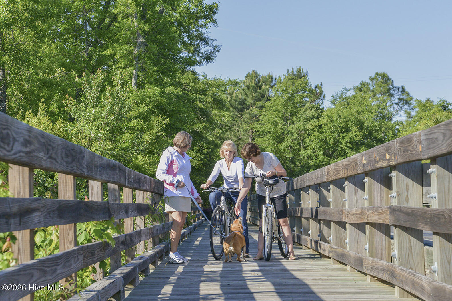 100560127 | Photo 18