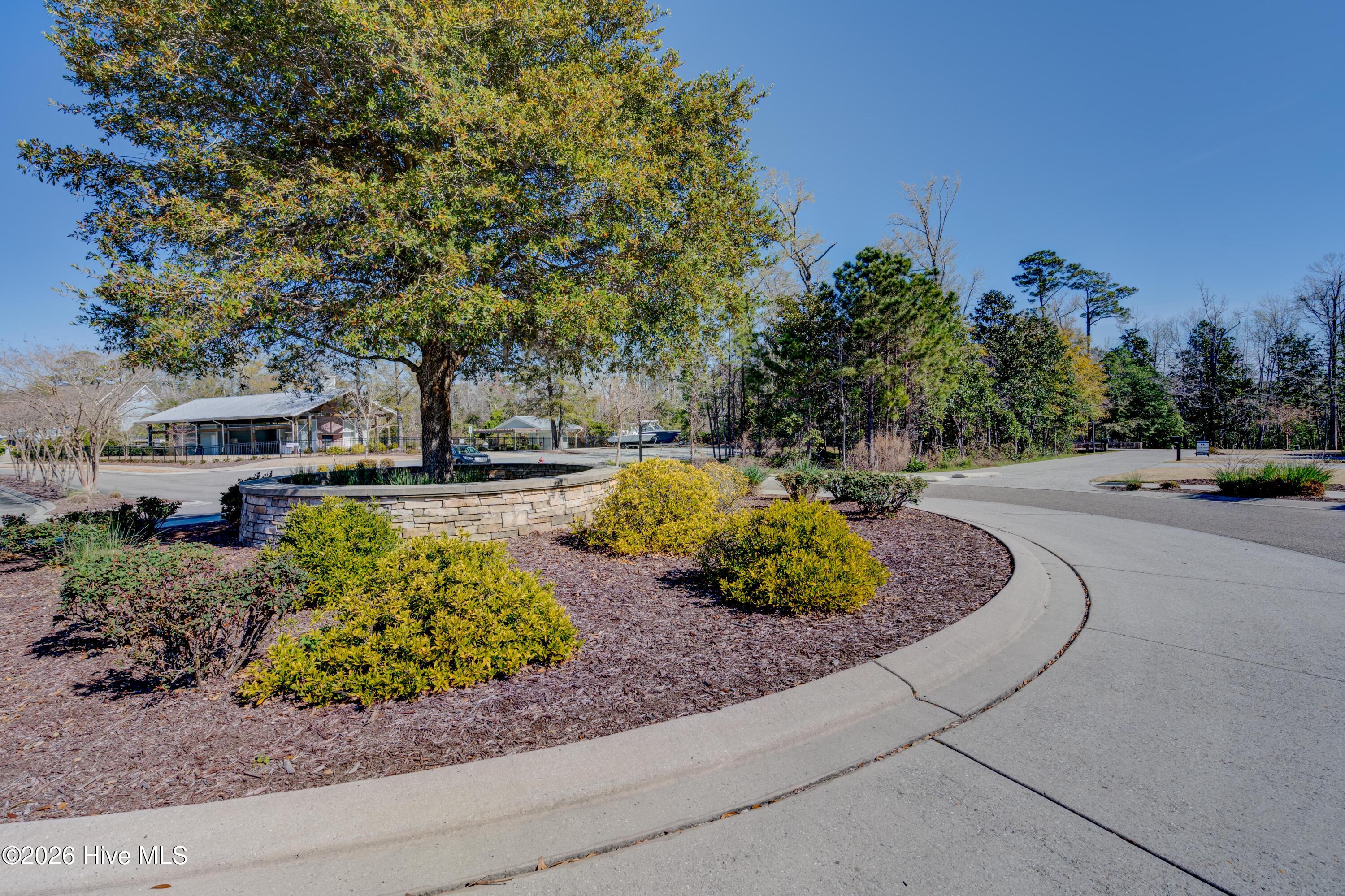 100558157 | Photo 73