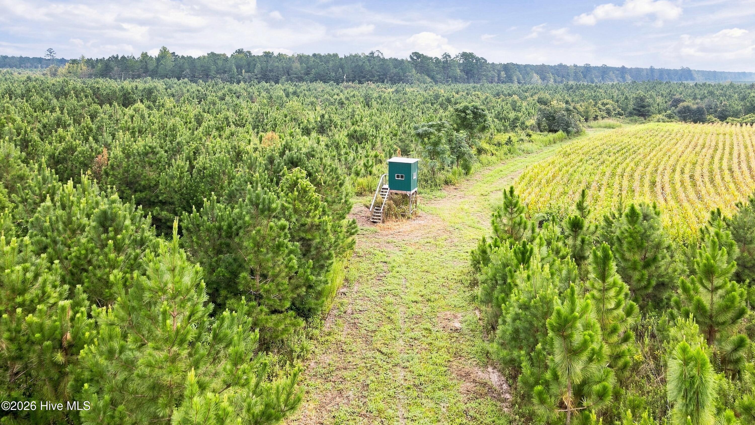 795 Pollard Swamp Road,Vanceboro