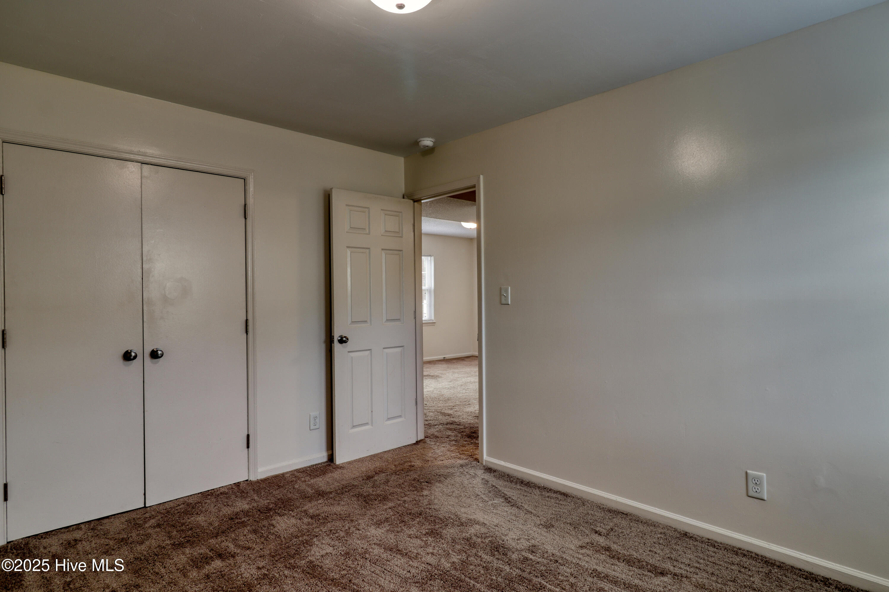 100519123 | Photo 14