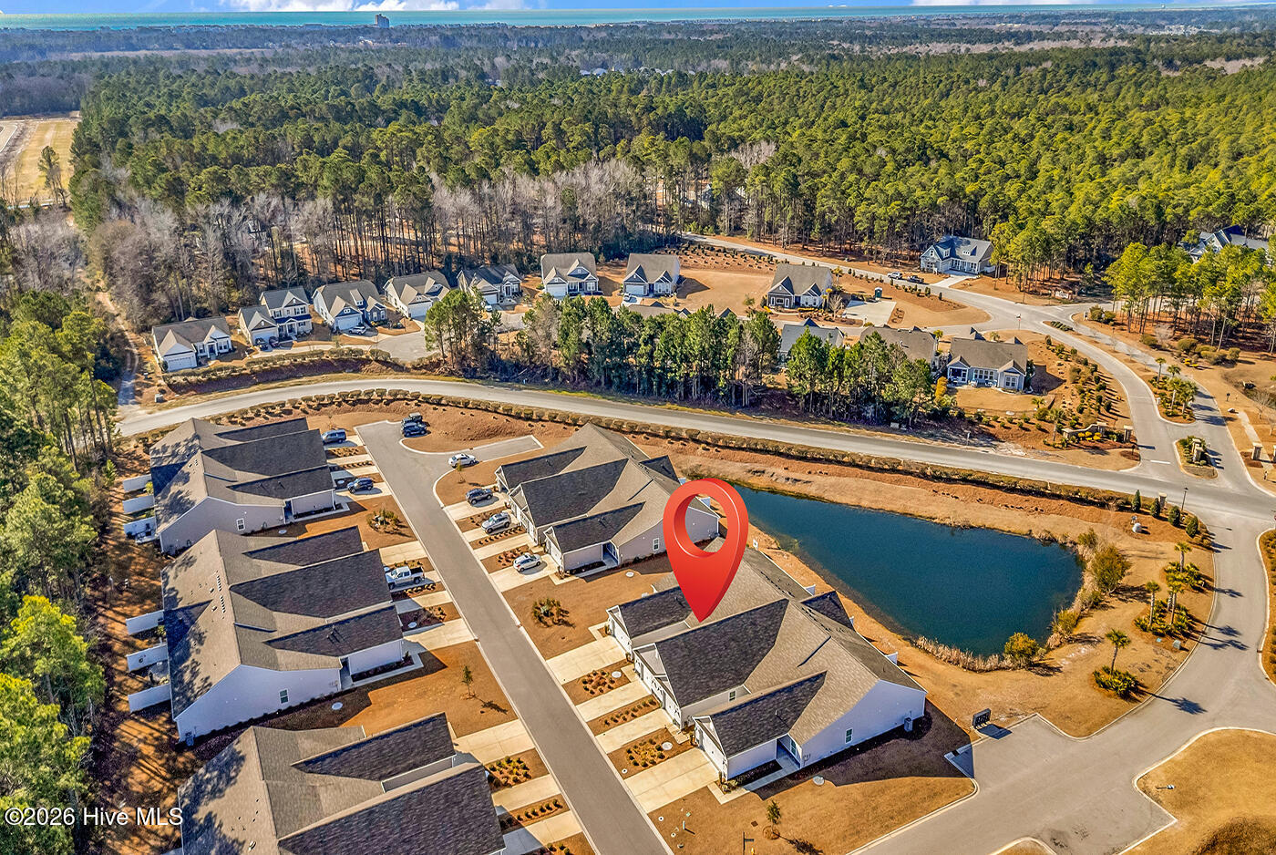 100553635 | Photo 30