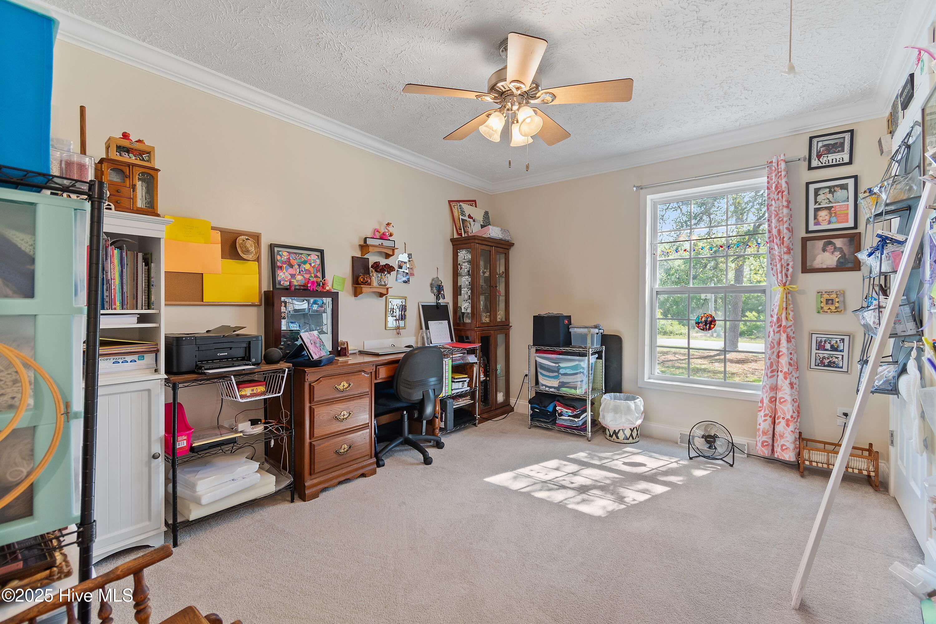 100504365 | Photo 17