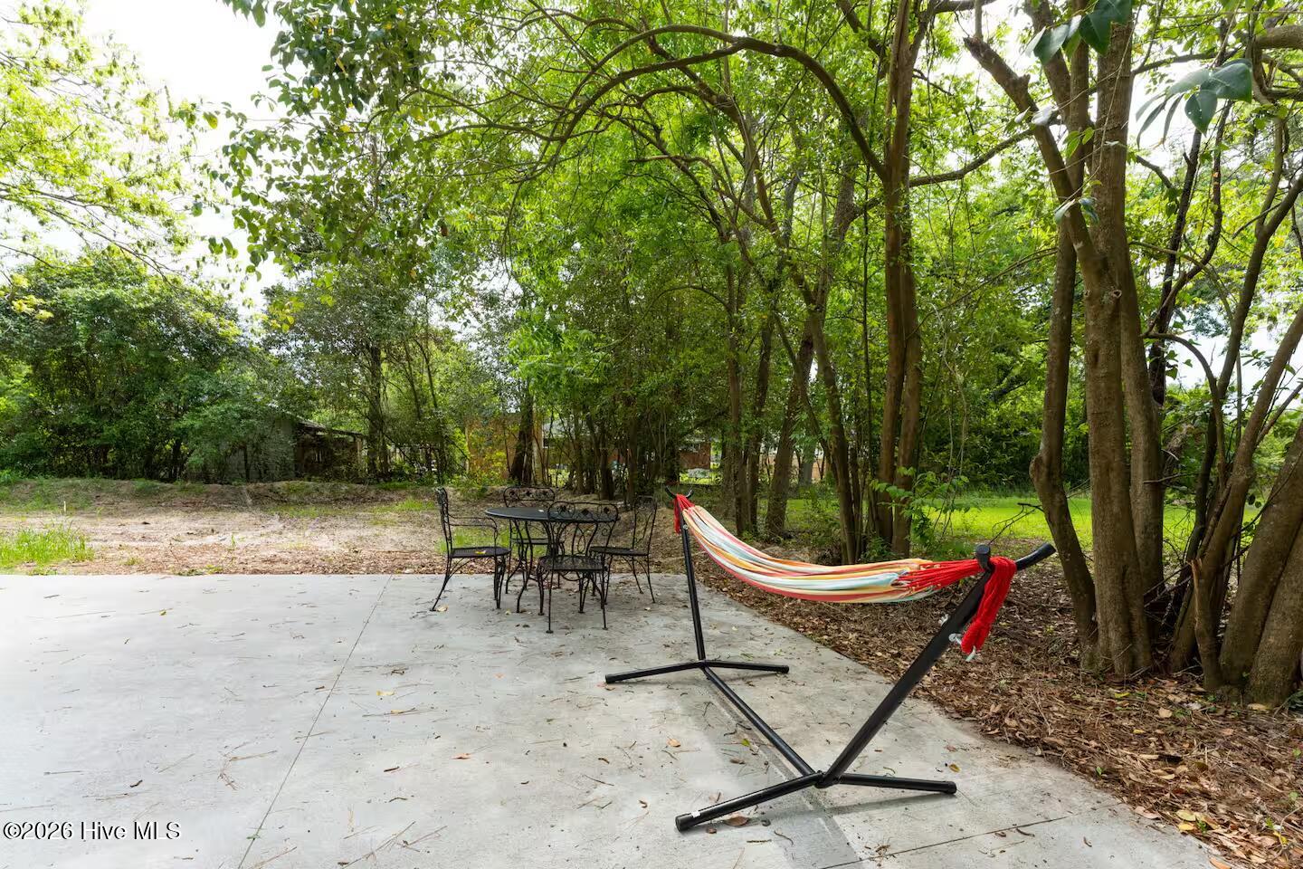 100570204 | Photo 14