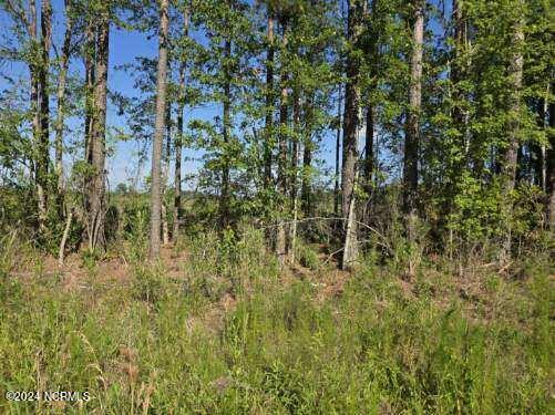 0 Us 17, Chocowinity, NC, 27817