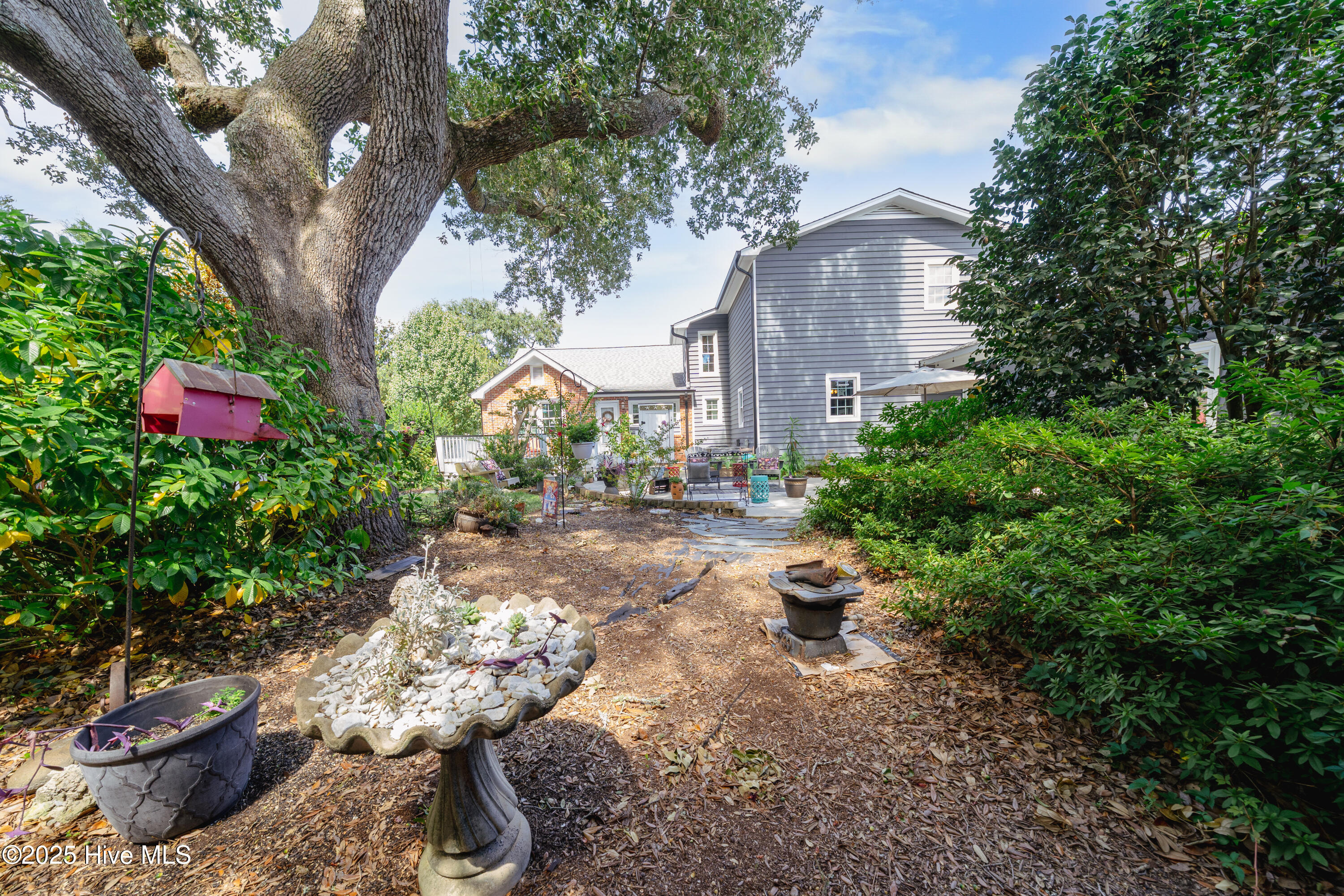 100531366 | Photo 22