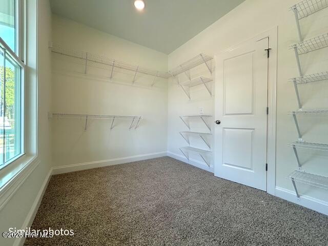 100535457 | Photo 42