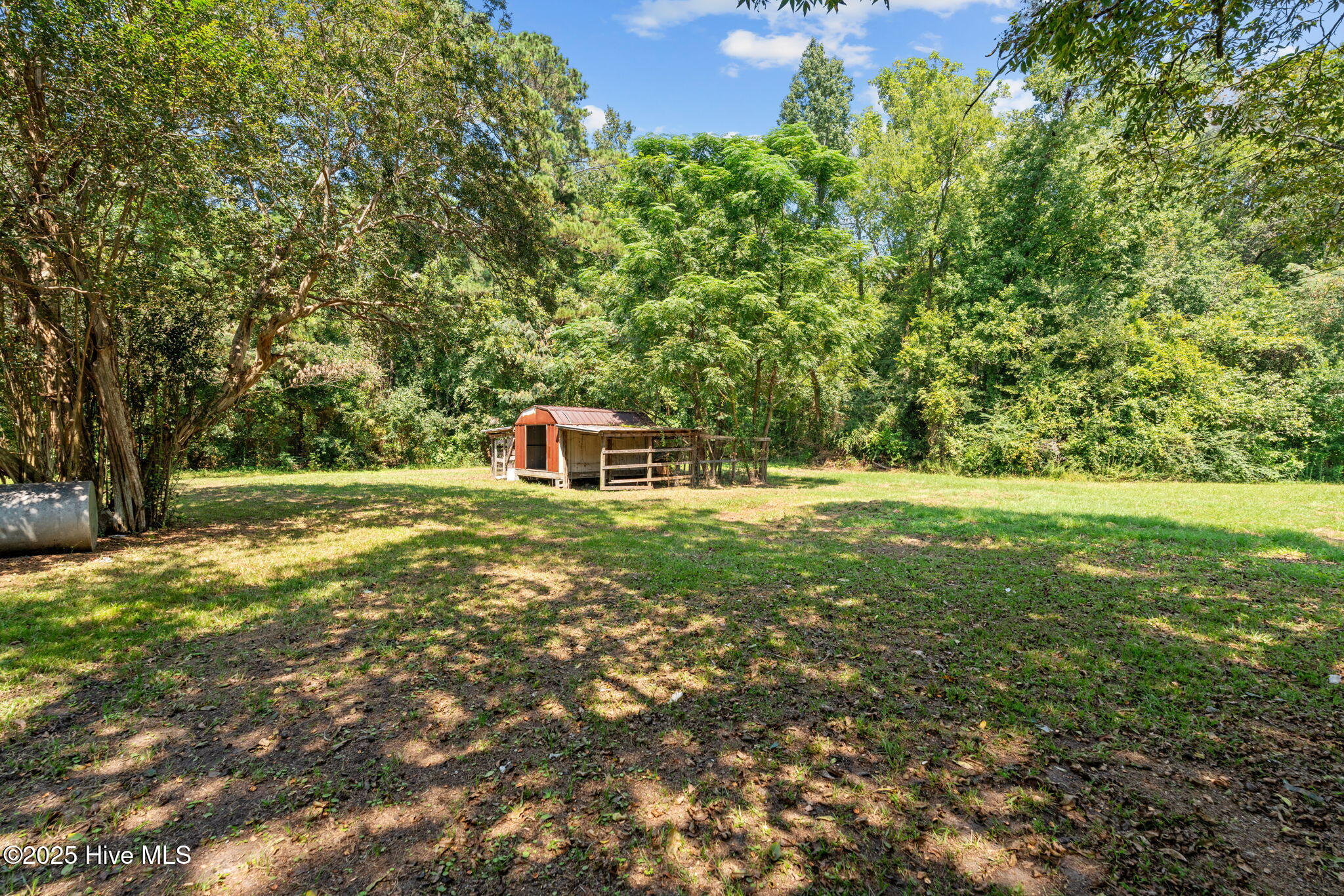 100529357 | Photo 26