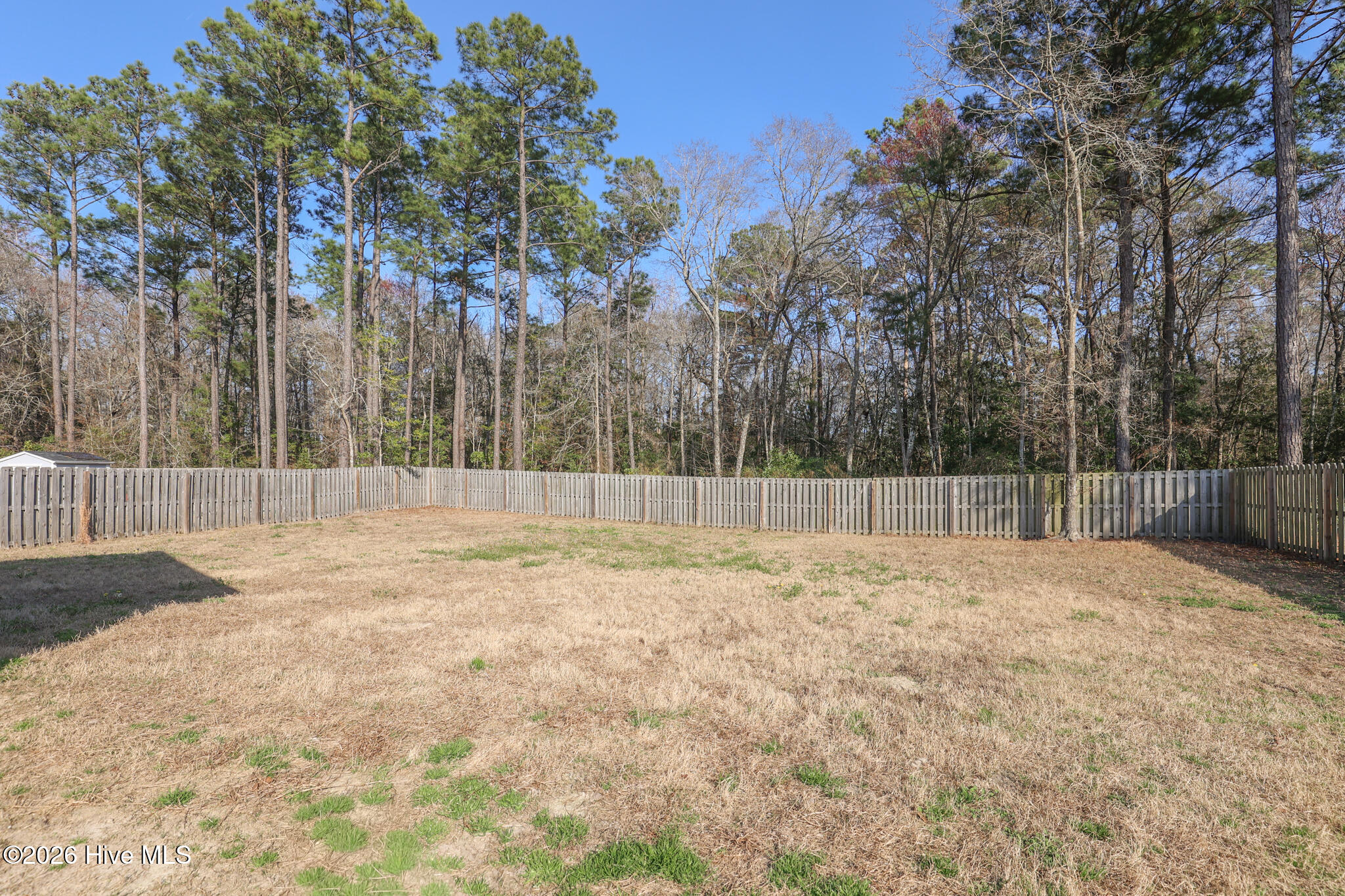 100559393 | Photo 40