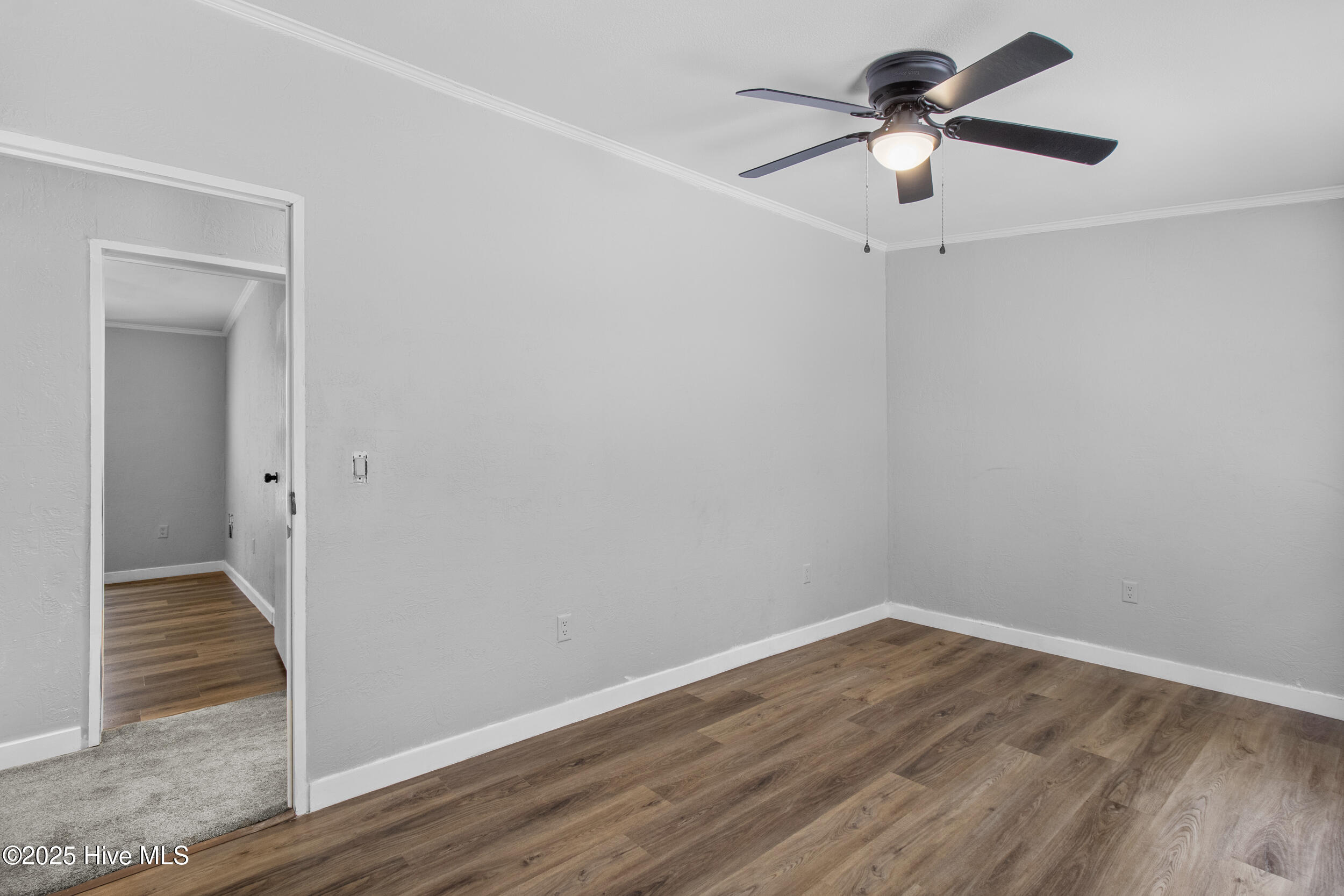 100515334 | Photo 32