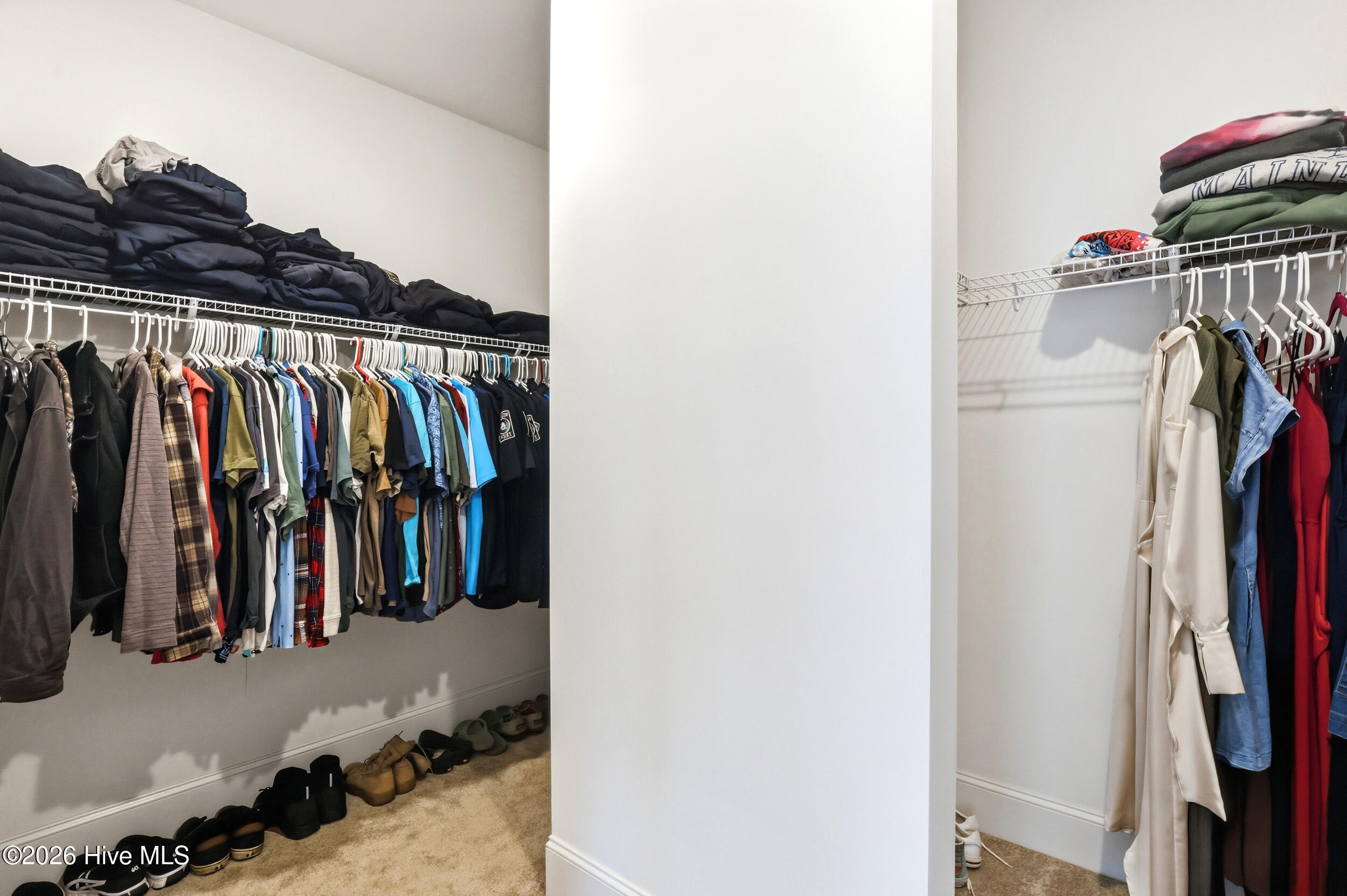 100569214 | Photo 24