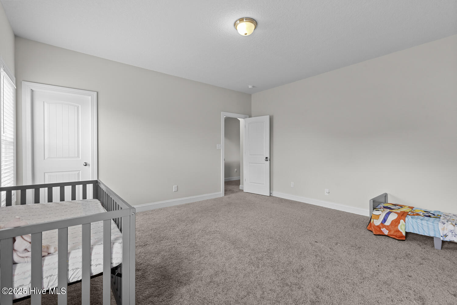 100513271 | Photo 21