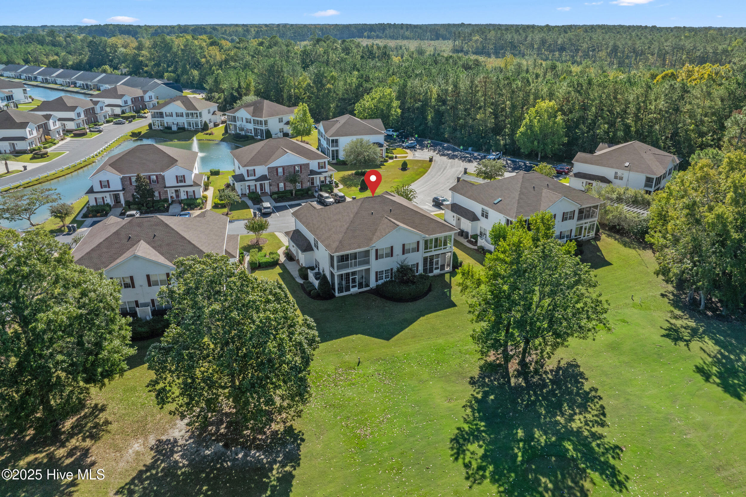 100536950 | Photo 34