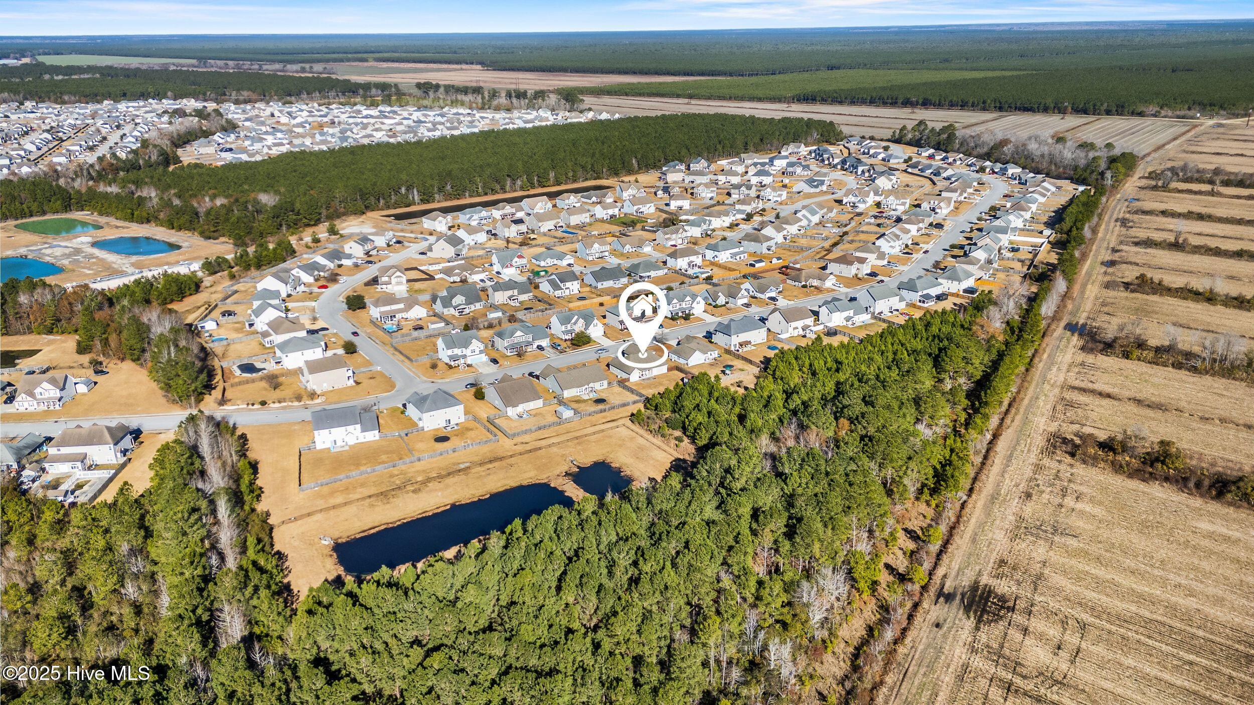 100546907 | Photo 49