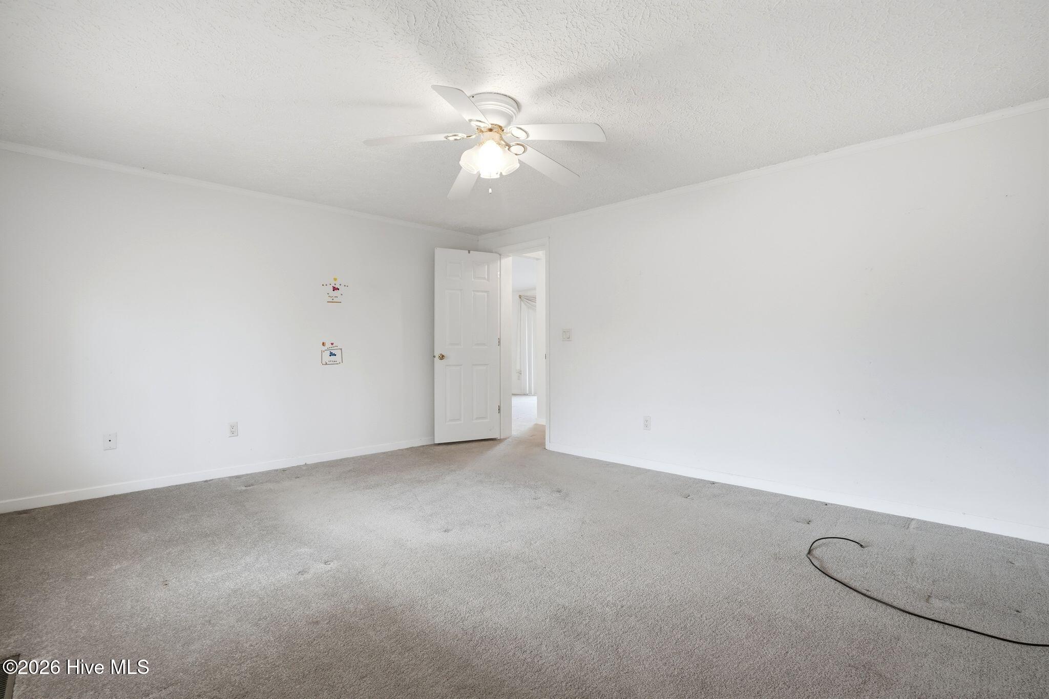 100556115 | Photo 58