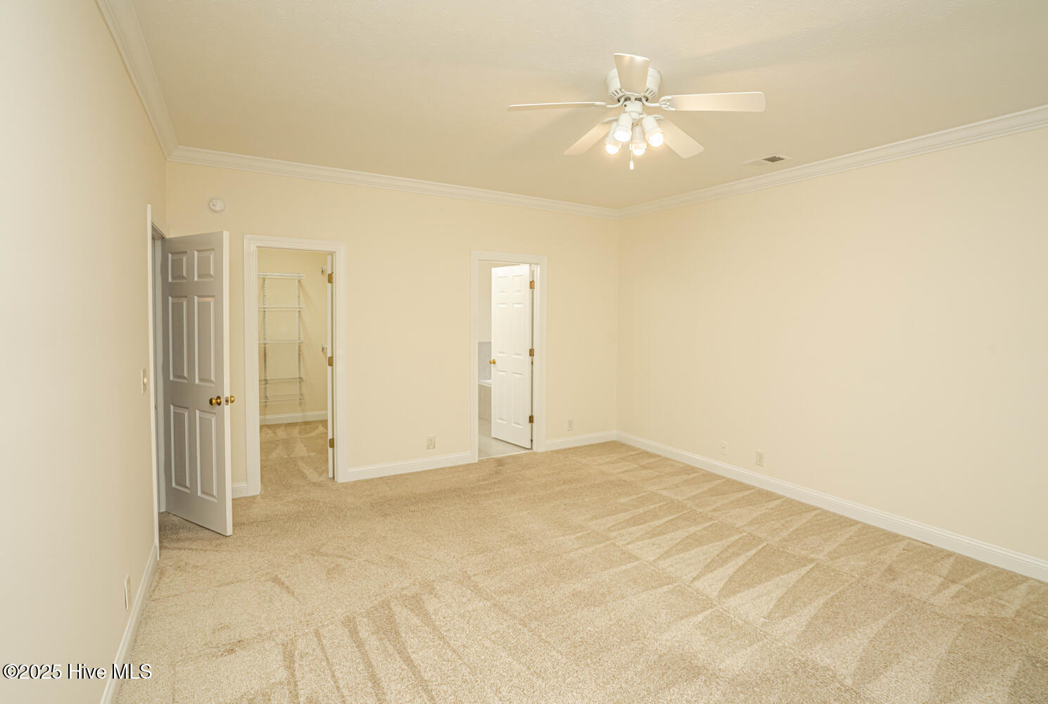 100538756 | Photo 25