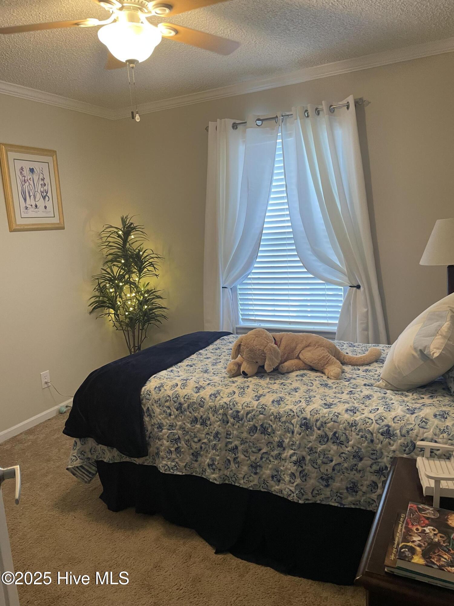 1194 Willeyton Road, Gates, NC, 27937