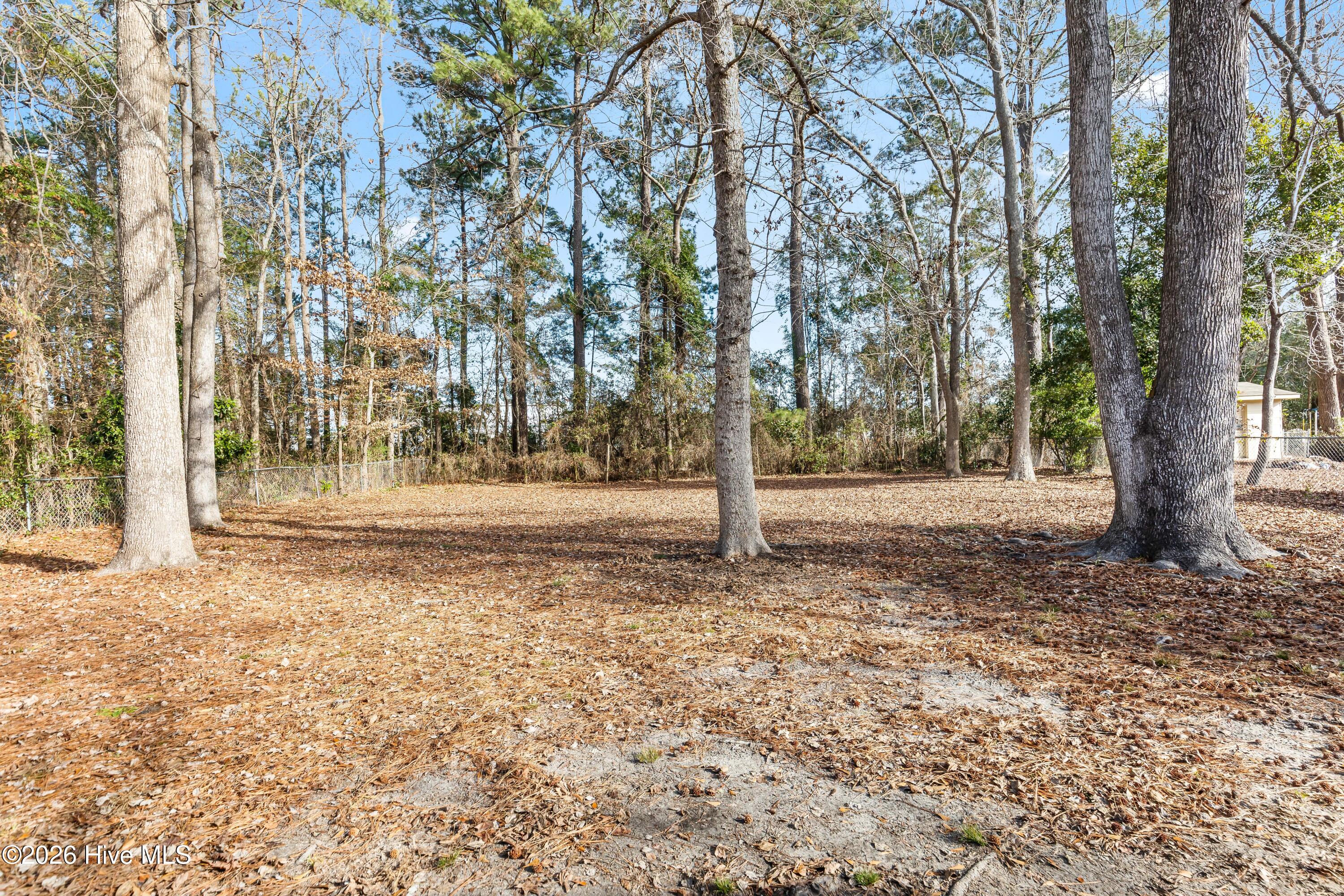 100550211 | Photo 20