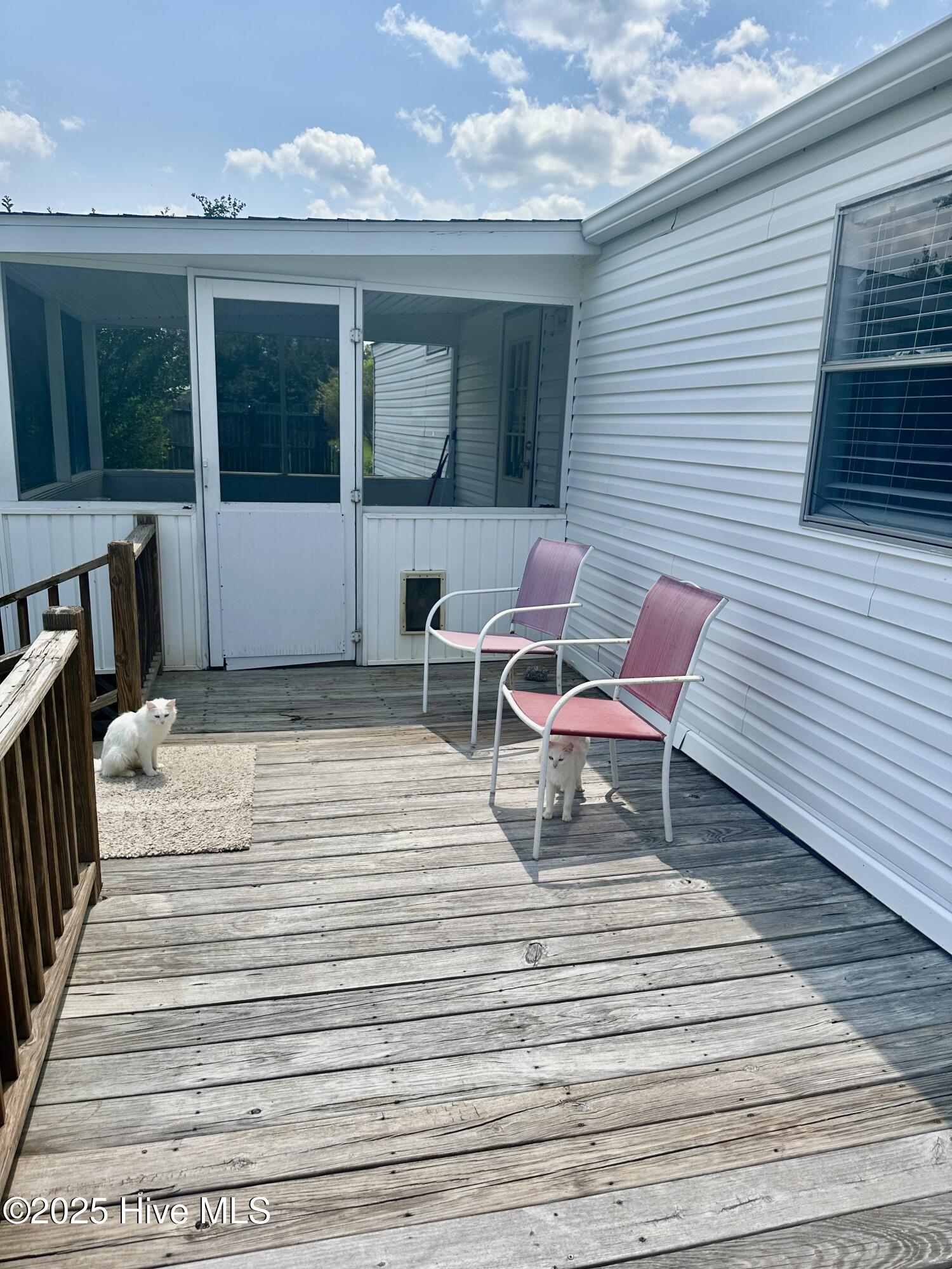 100512329 | Photo 22