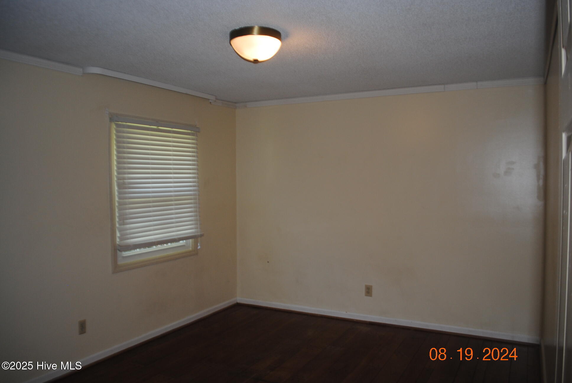 100525208 | Photo 13