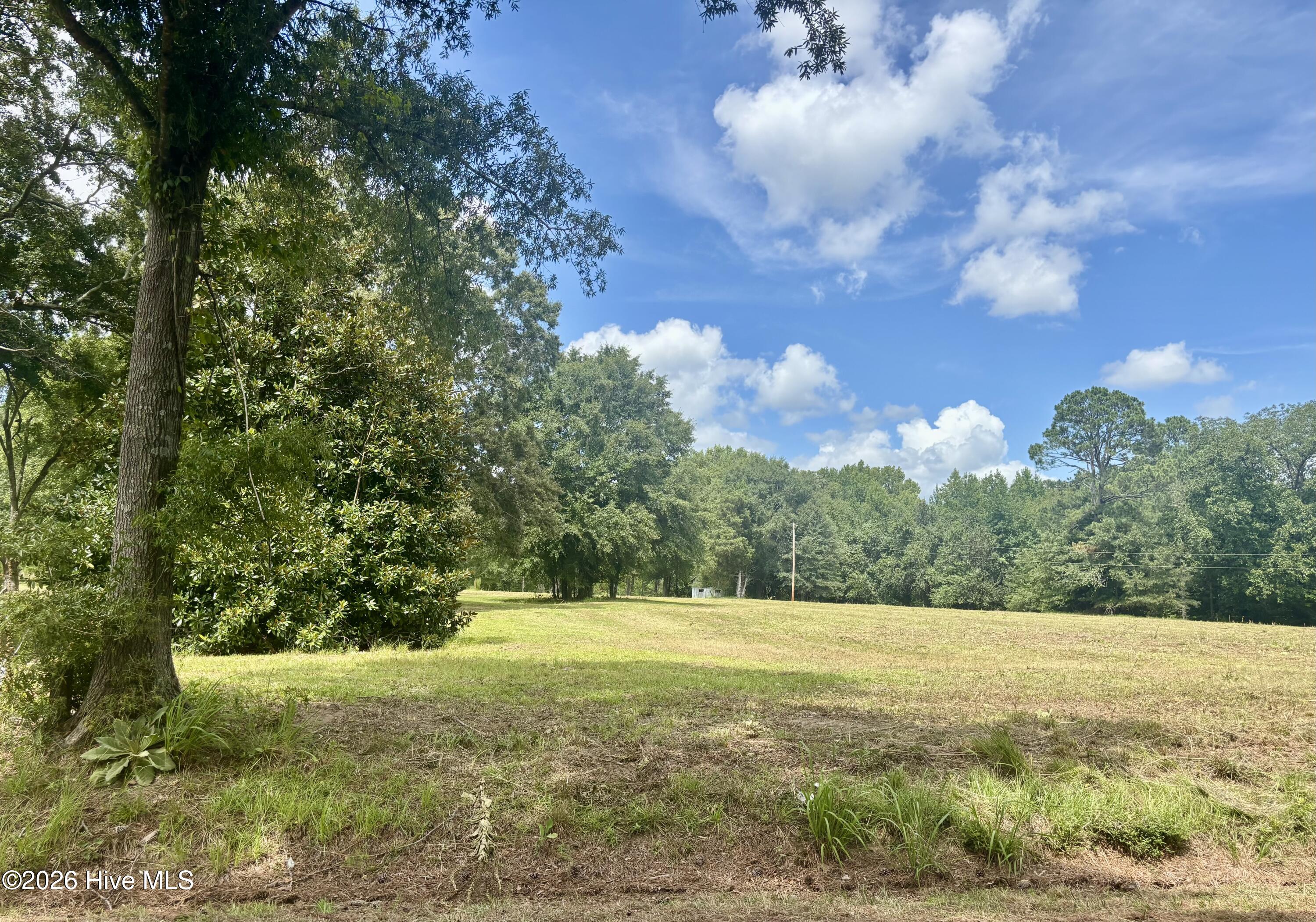 8th image of Tbd Roberdel School Rd, Rockingham, NC 28379 | MLS# 100594177