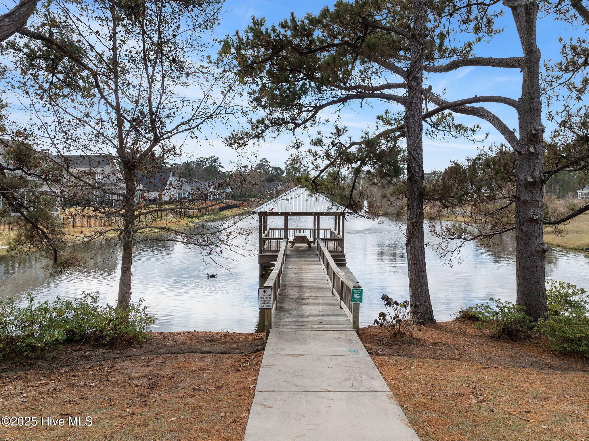 100544124 | Photo 63