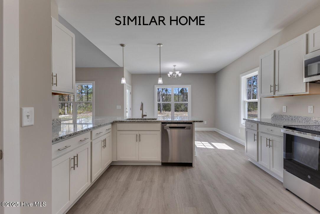 100498465 | Photo 16