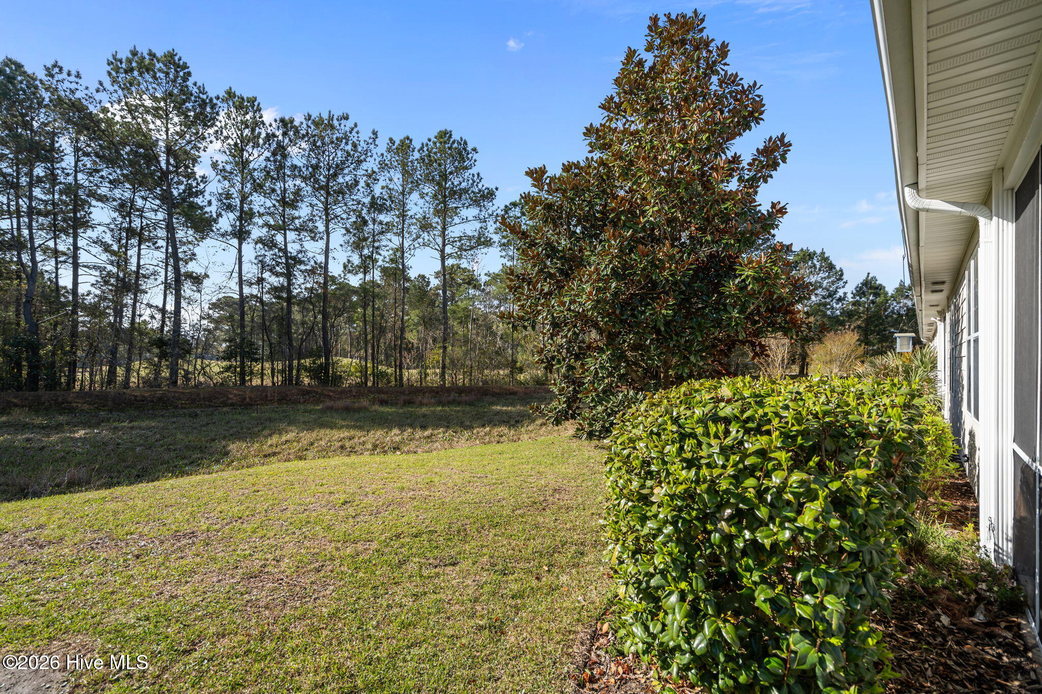 100566429 | Photo 22