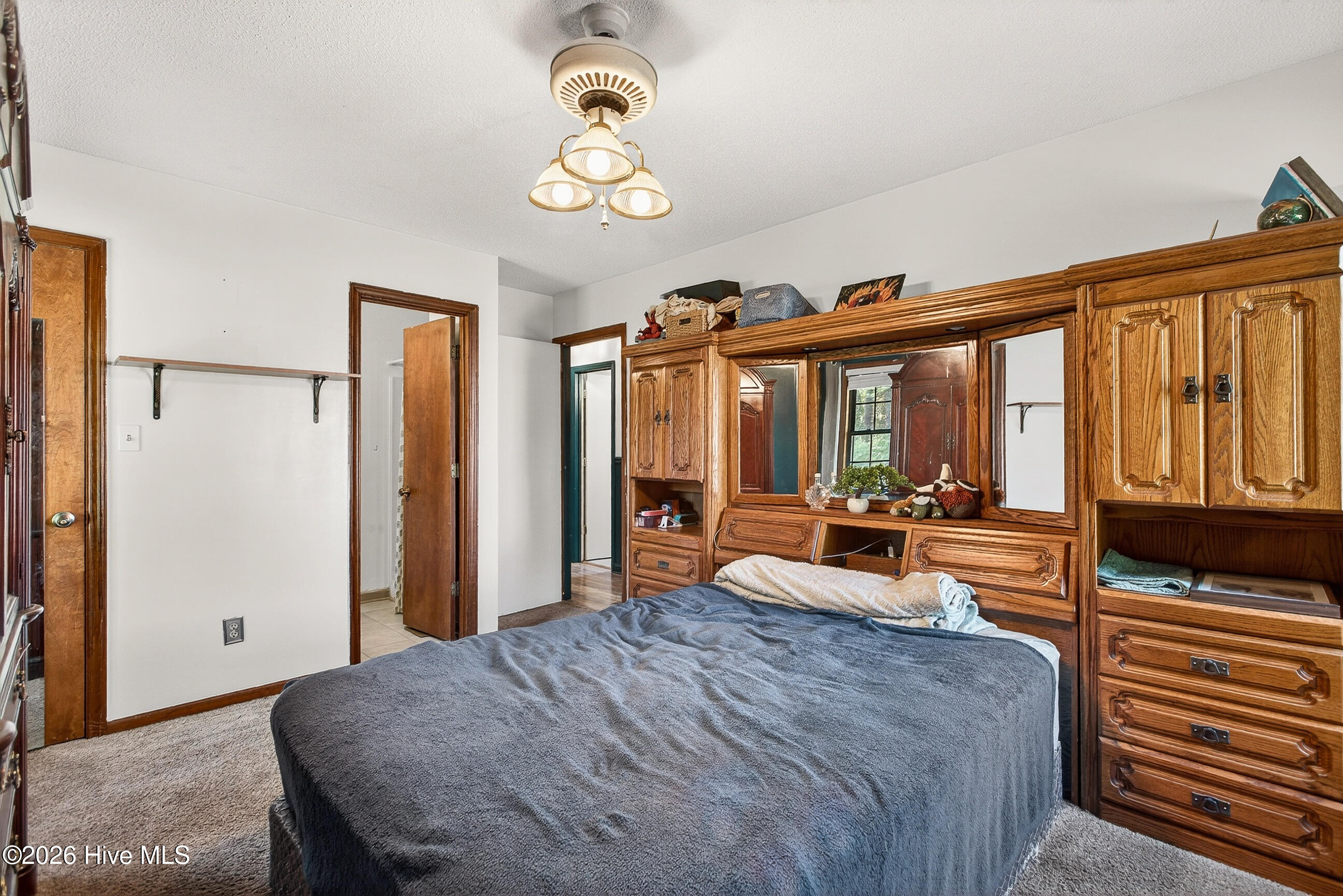 100570102 | Photo 17