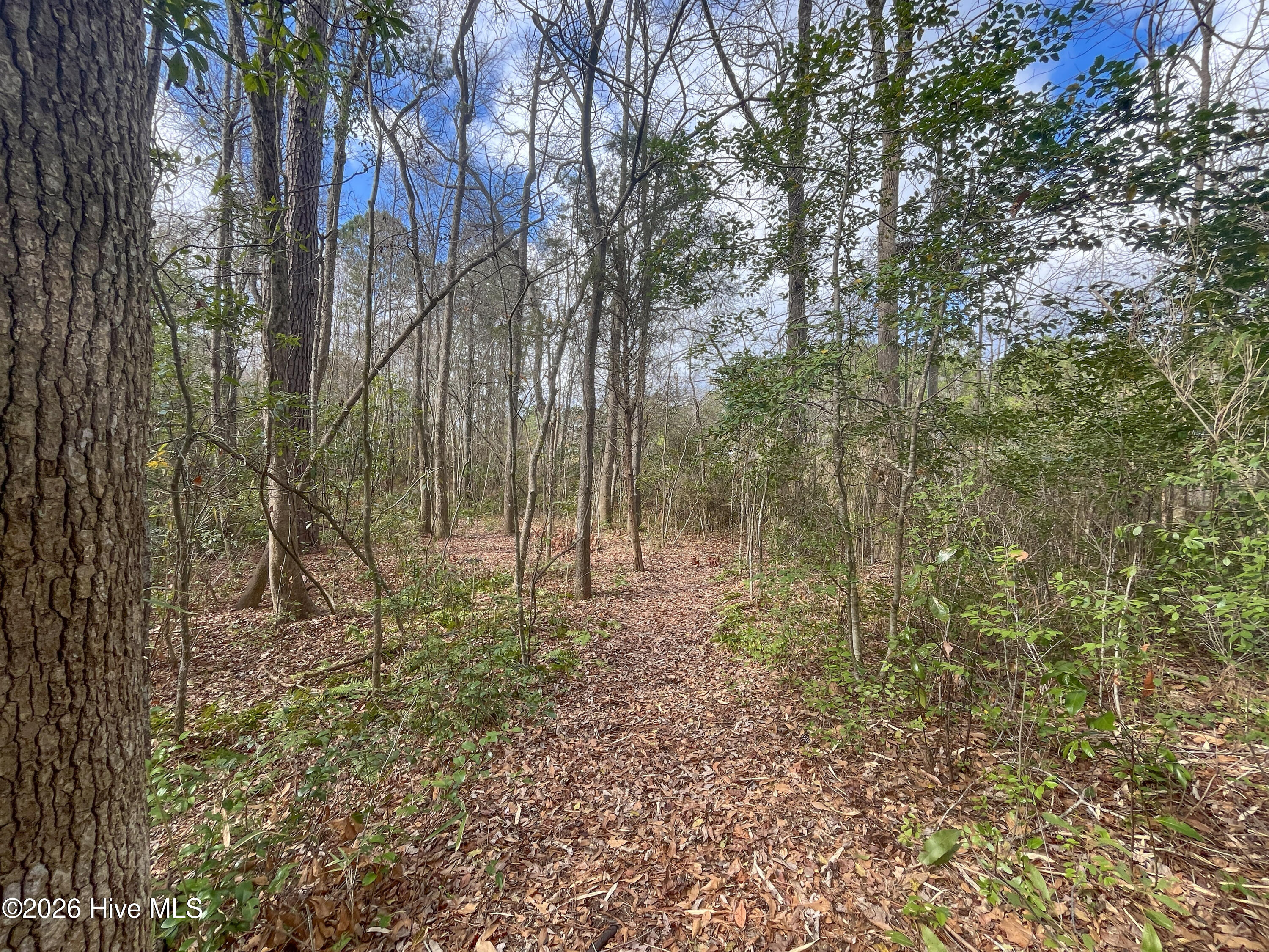 100557904 | Photo 34