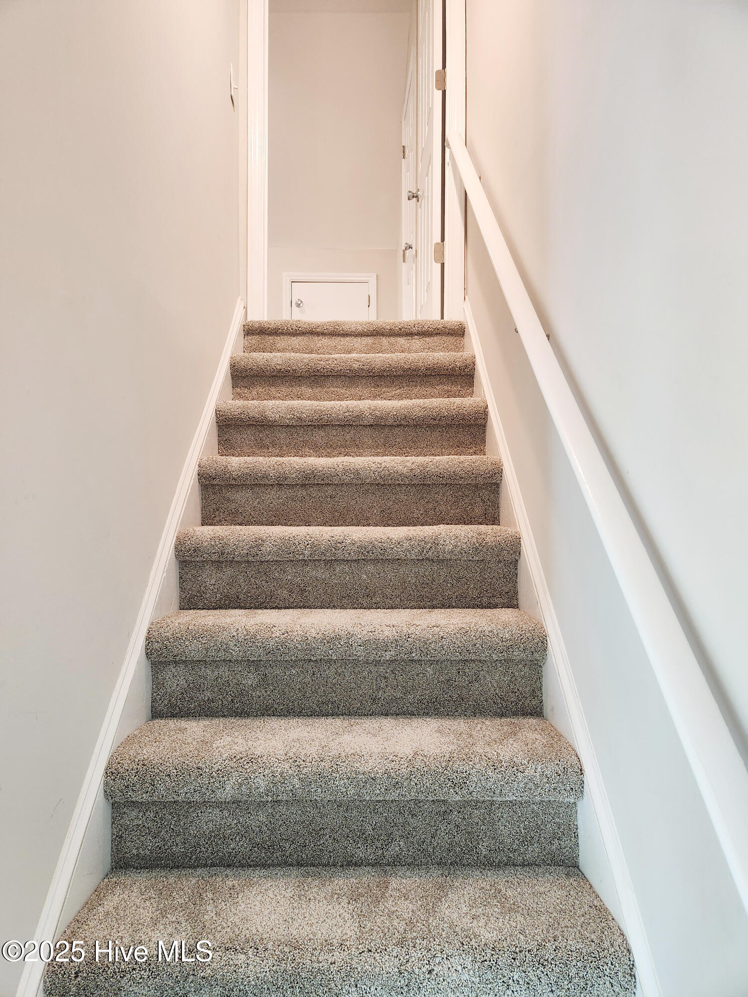 100517489 | Photo 57