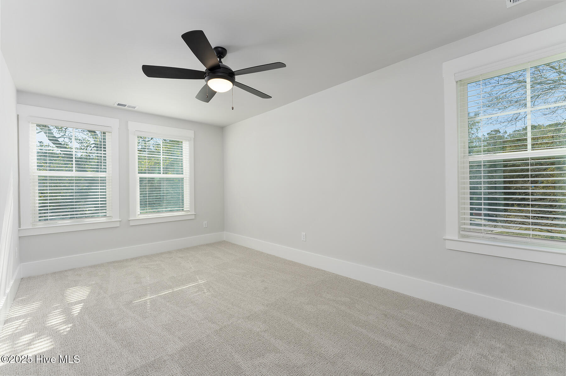 100506465 | Photo 18