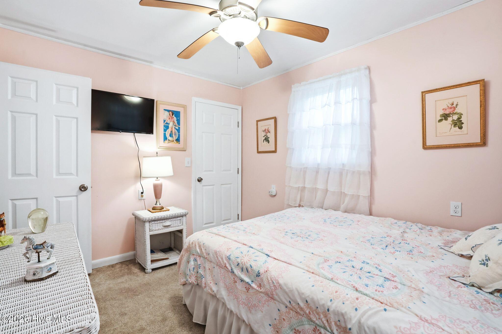 100565168 | Photo 30