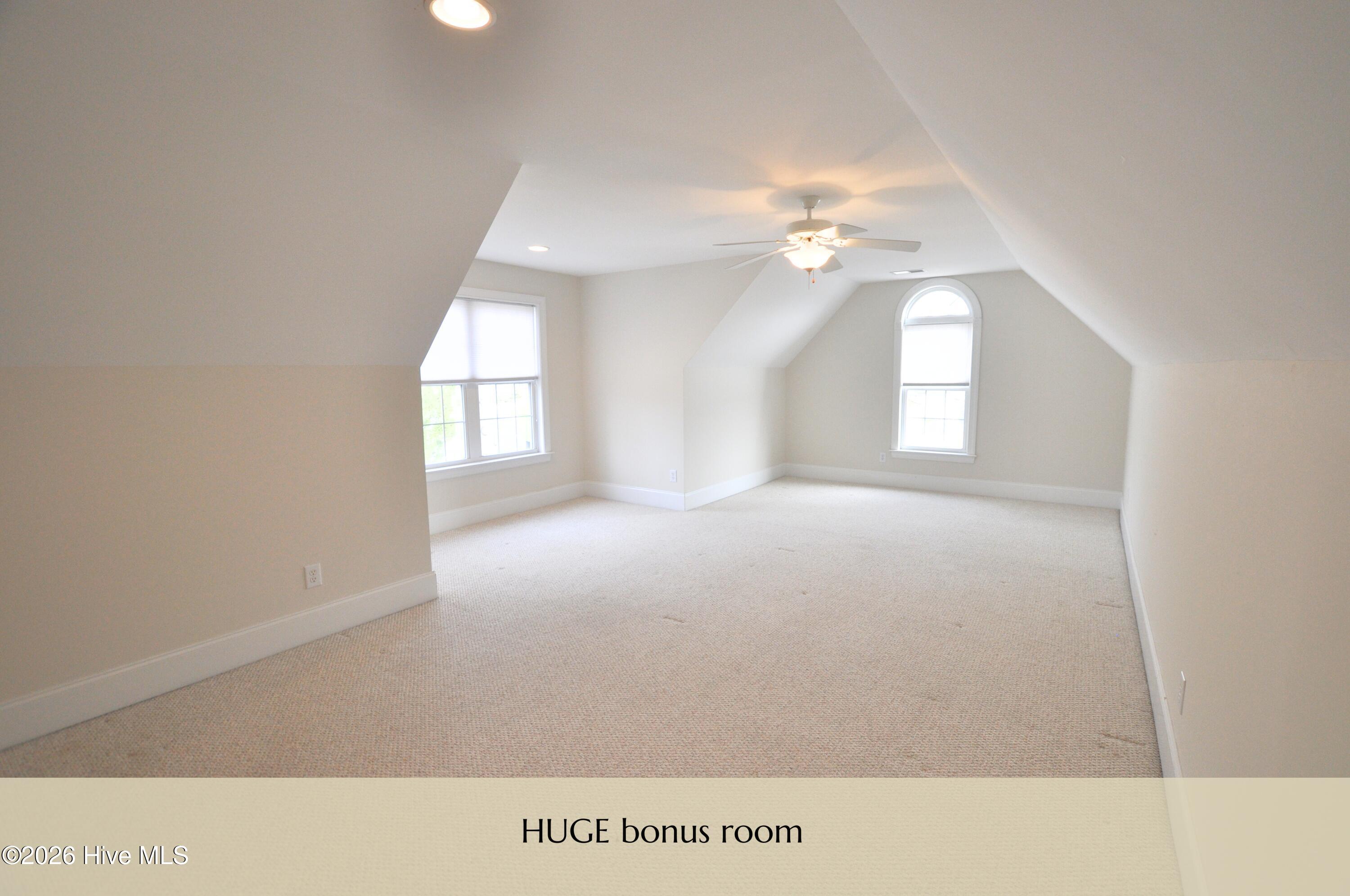 100536659 | Photo 33