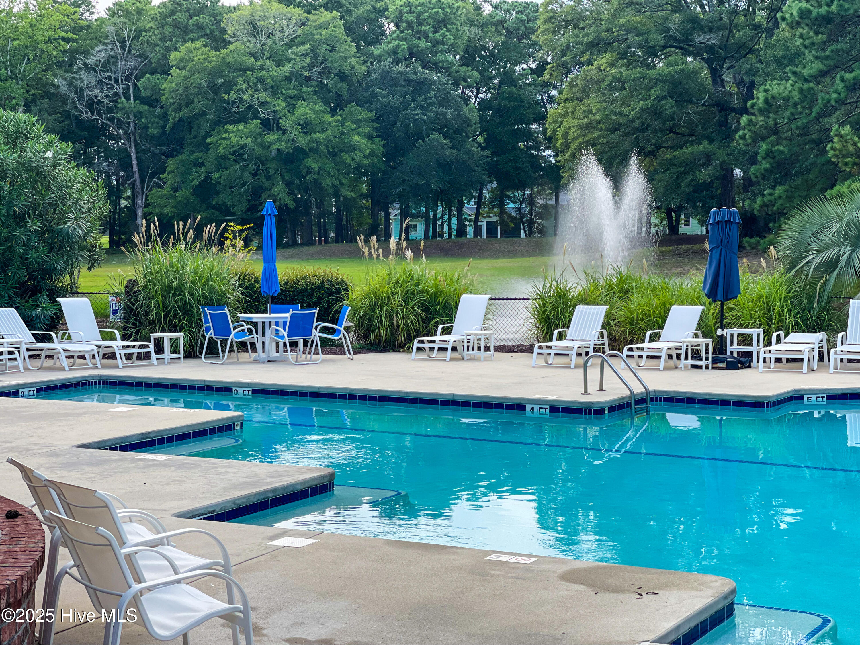 100546436 | Photo 57