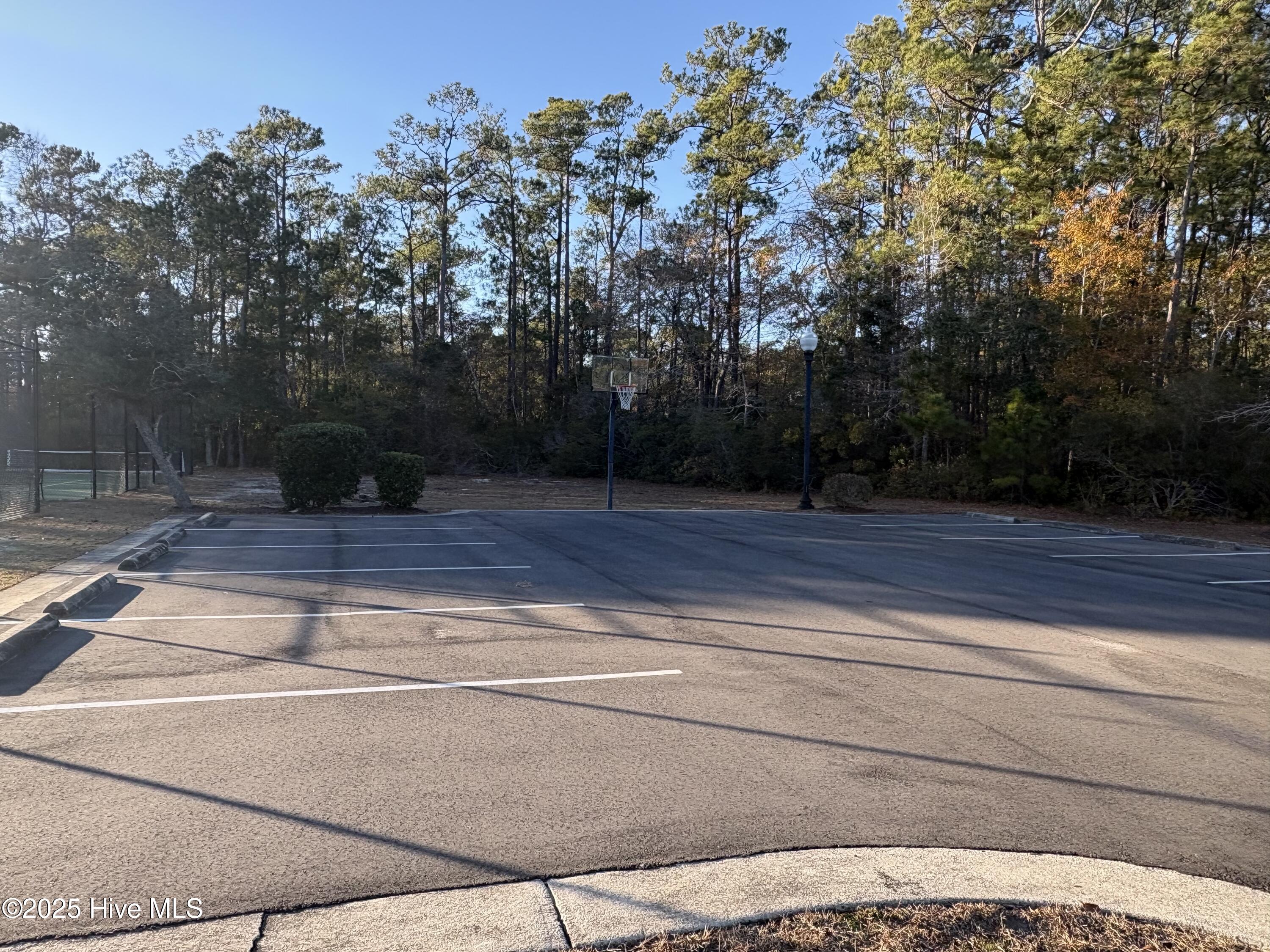 100536920 | Photo 36