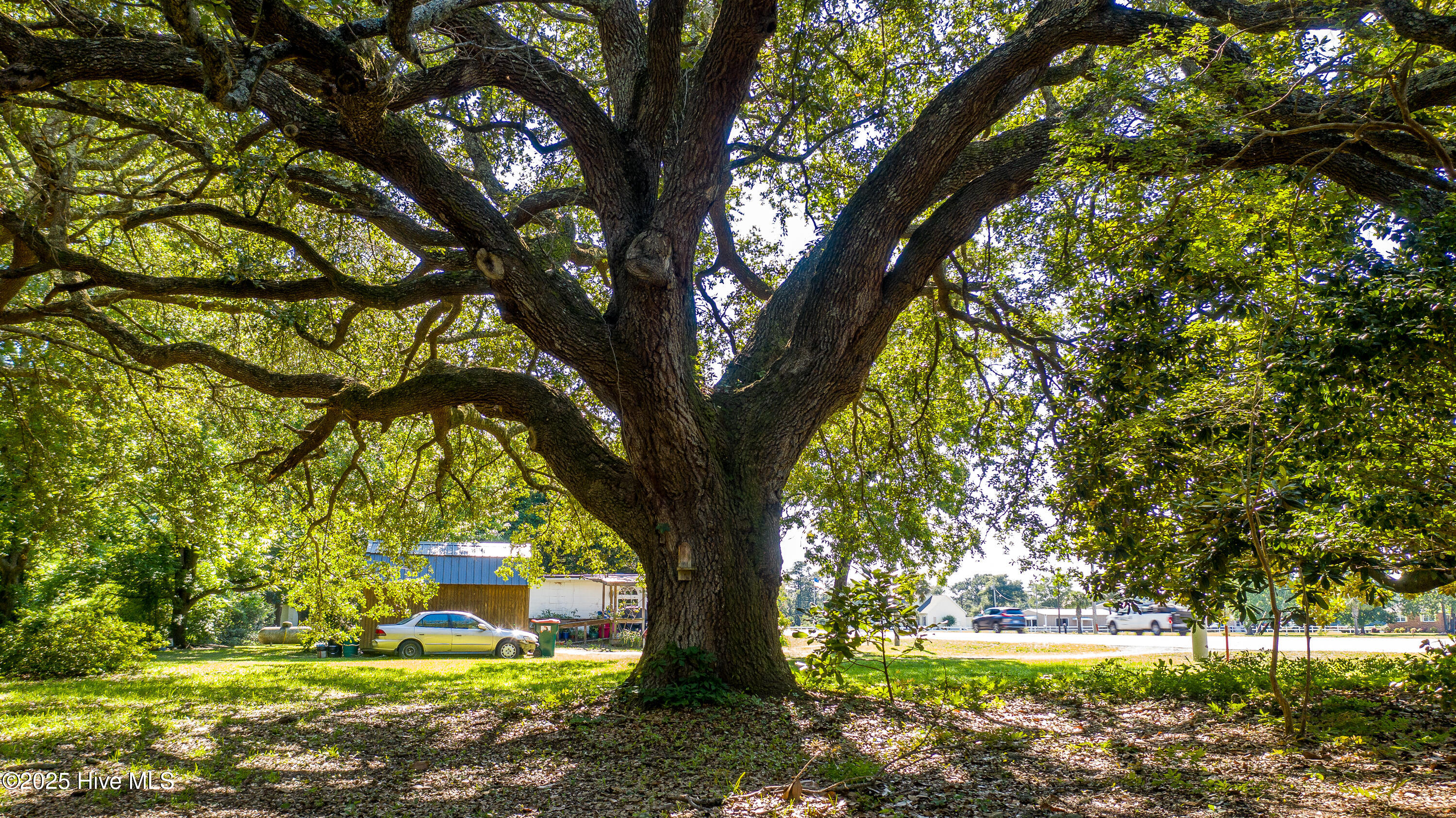 1559 Nc-24, Newport, NC, 28570